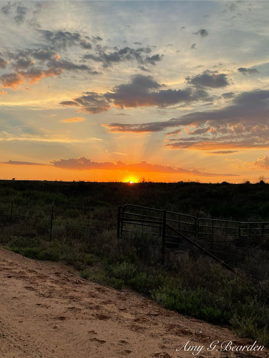 Backroads of Texas