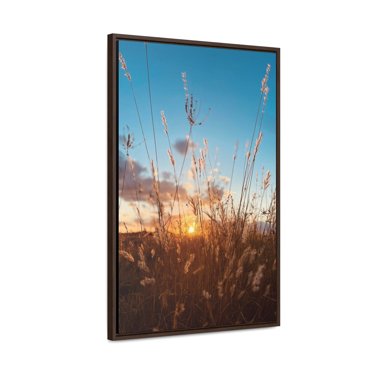 Wild grass and sunset, Gallery Canvas Wraps, Vertical Frame