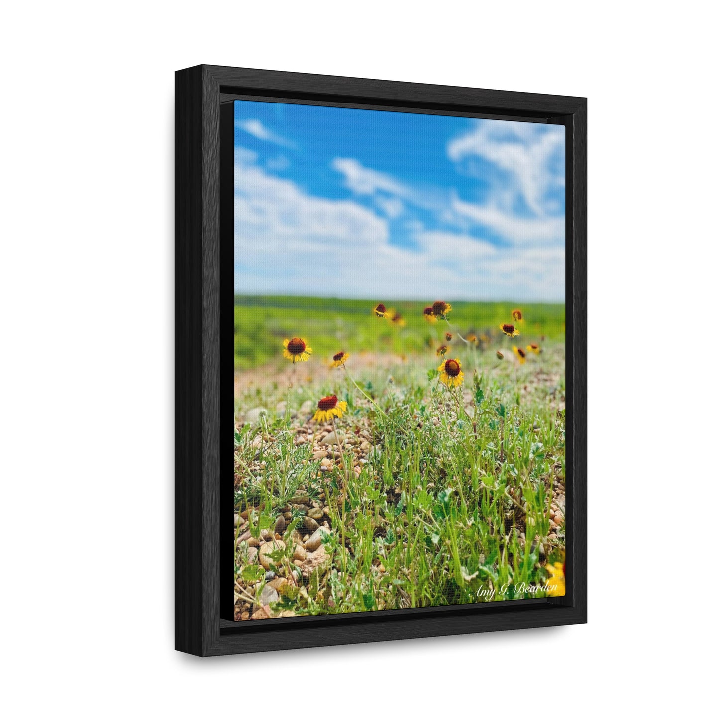 Wildflowers, Gallery Canvas Wraps, Vertical Frame