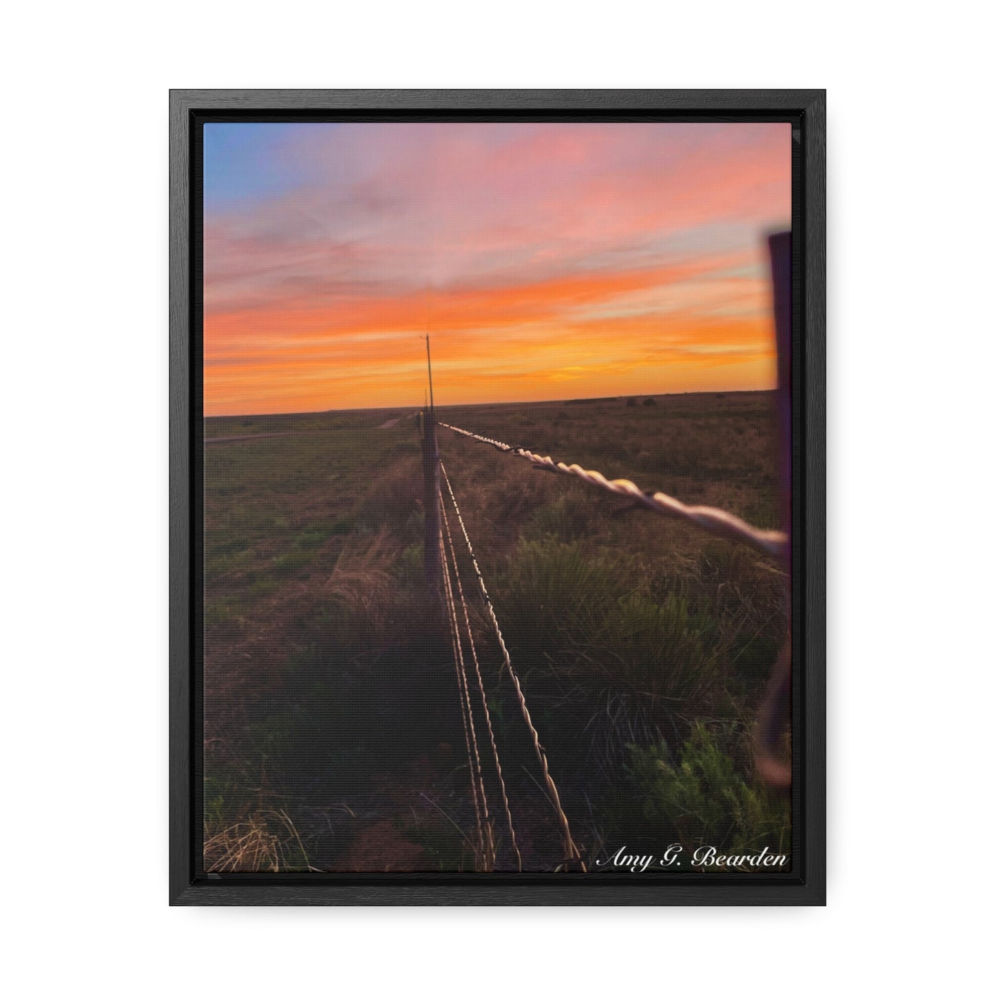Barbed wire fence, Gallery Canvas Wraps, Vertical Frame