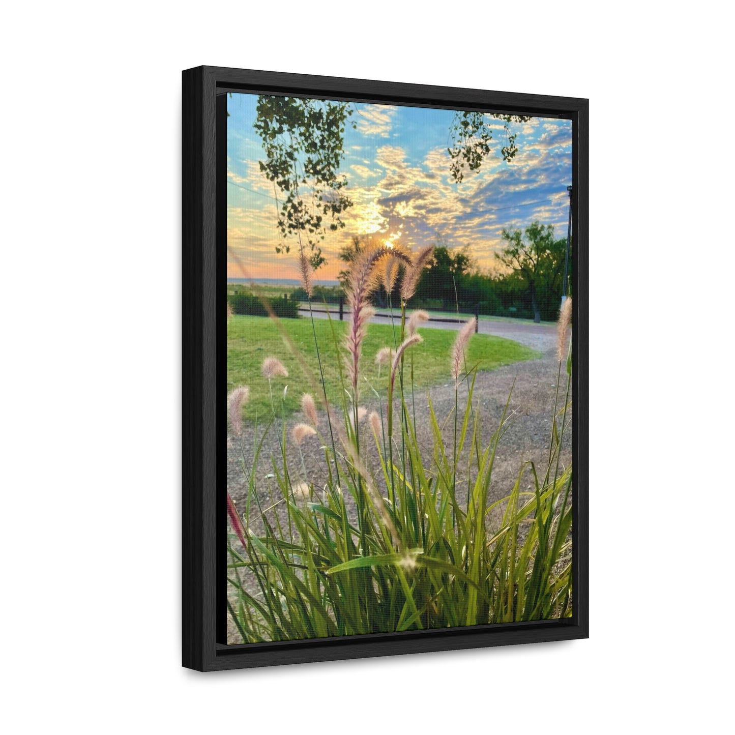 Feathergrass Sunrise, Gallery Canvas Wraps, Vertical Frame