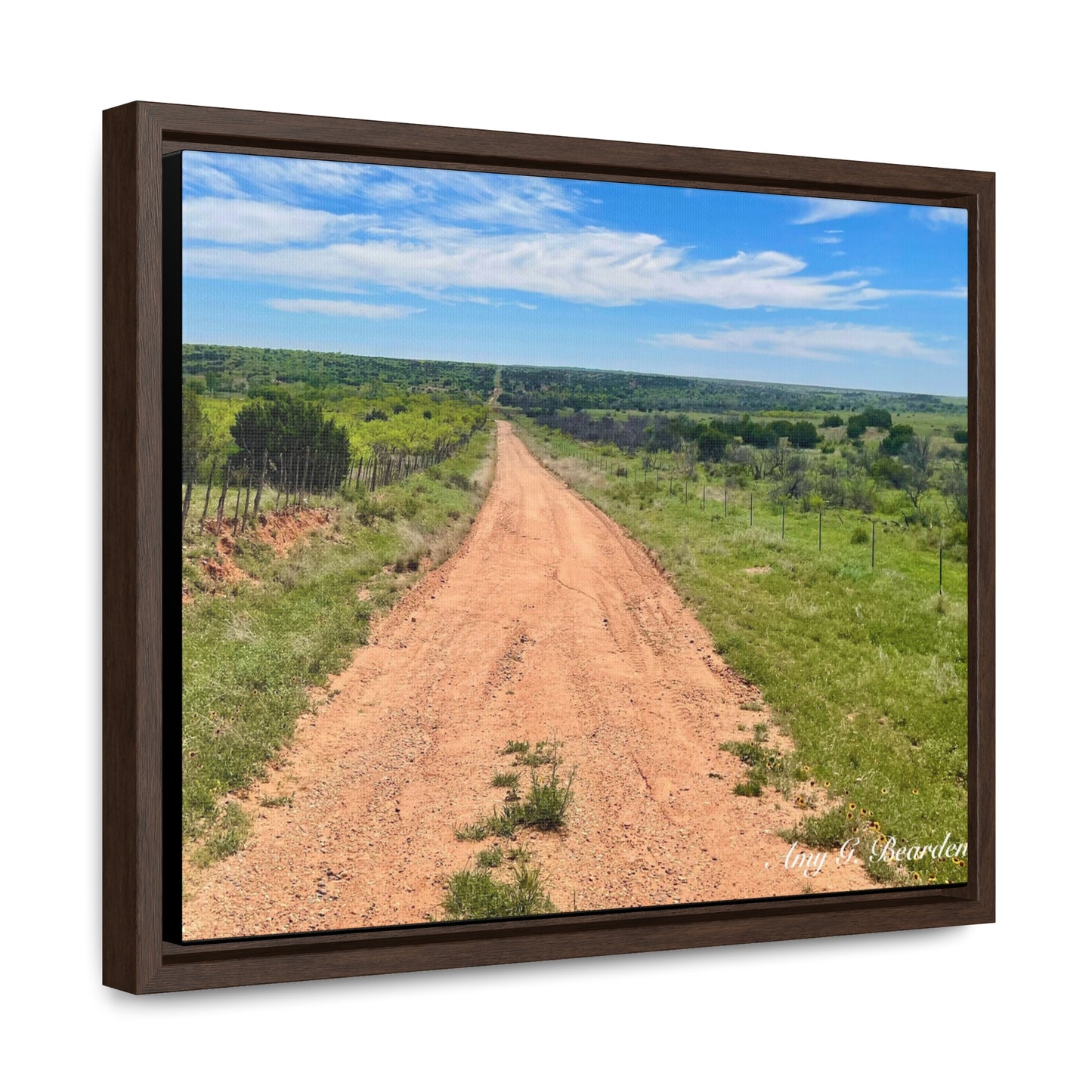 Red Dirt Road, Gallery Canvas Wraps, Horizontal Frame