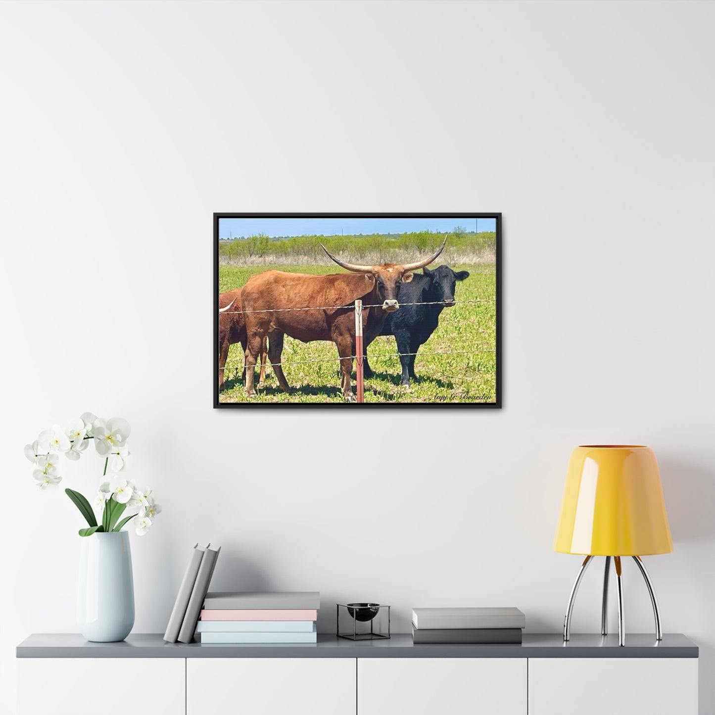 The stare down, Longhorn of Texas, Gallery Canvas Wraps, Horizontal Frame