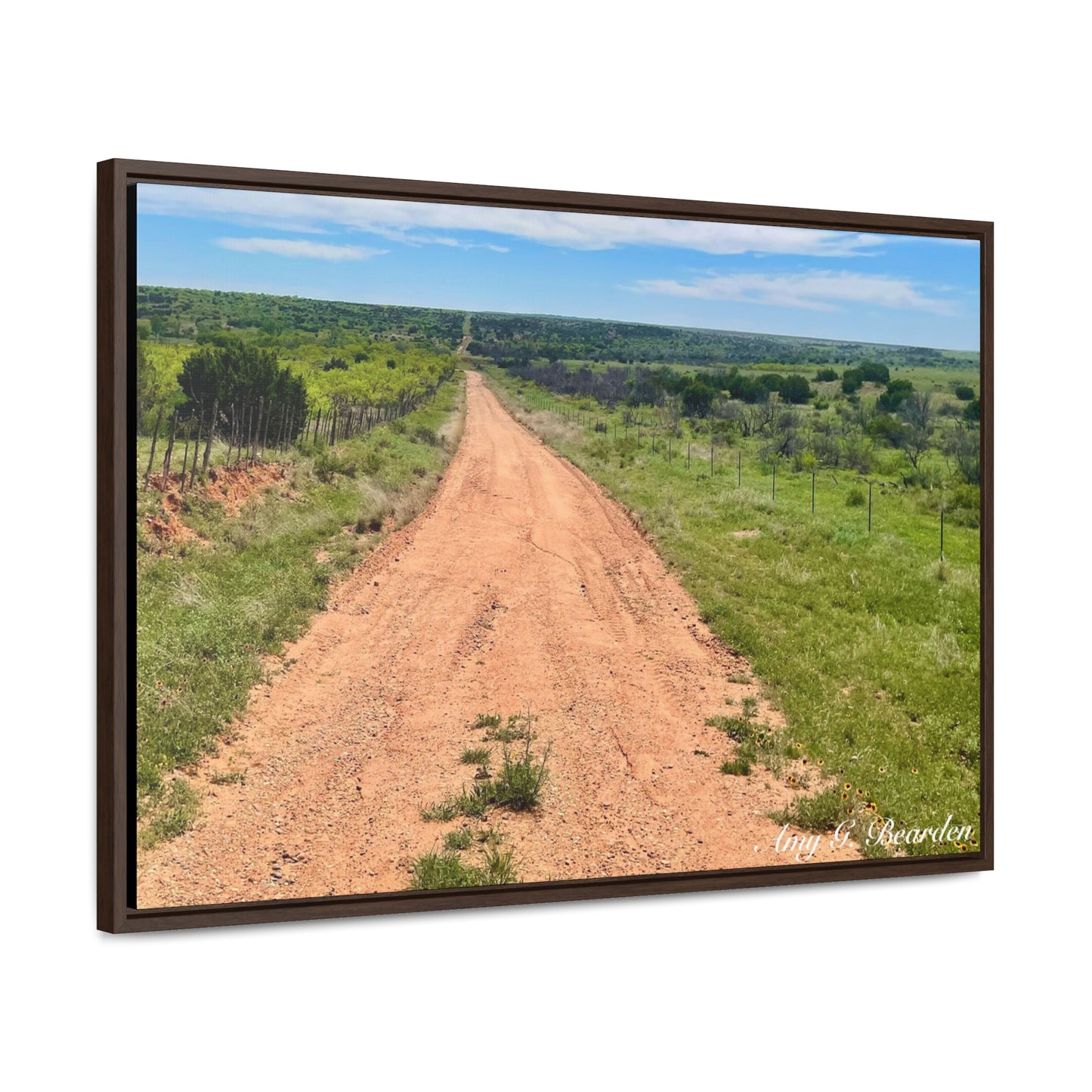 Red Dirt Road, Gallery Canvas Wraps, Horizontal Frame