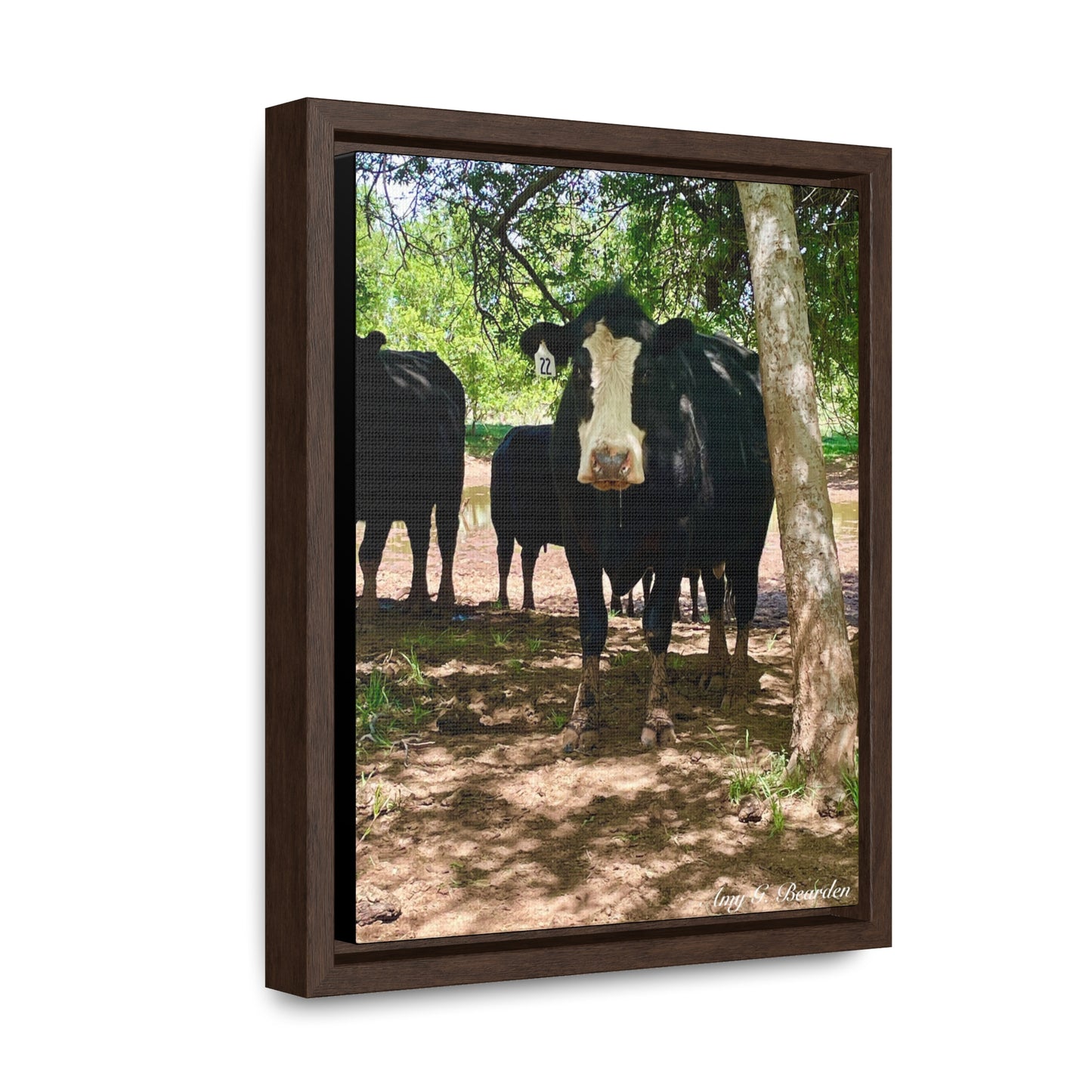 Wet Kisses, Gallery Canvas Wraps, Vertical Frame
