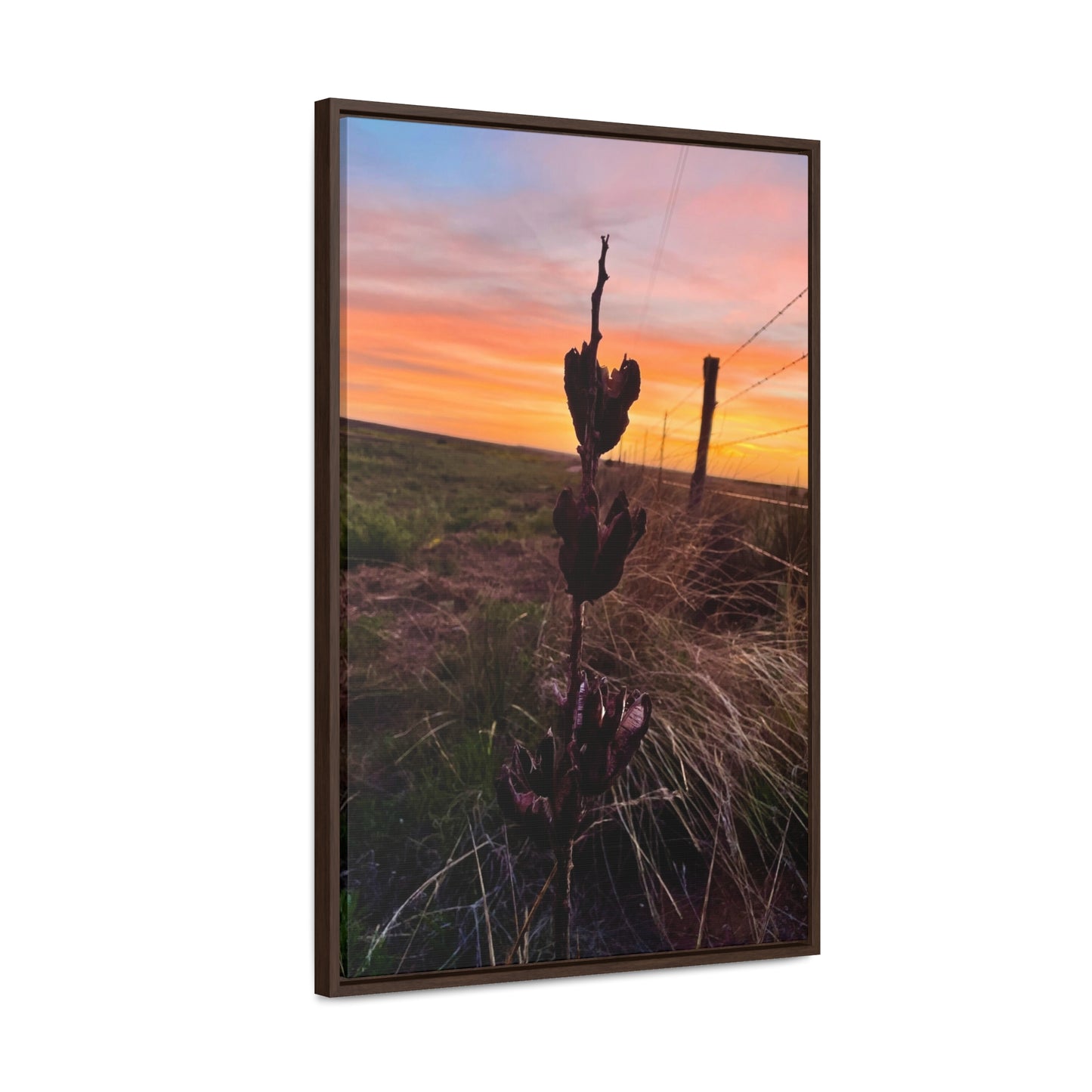 Native Yucca, Sunset, Gallery Canvas Wraps, Vertical Frame