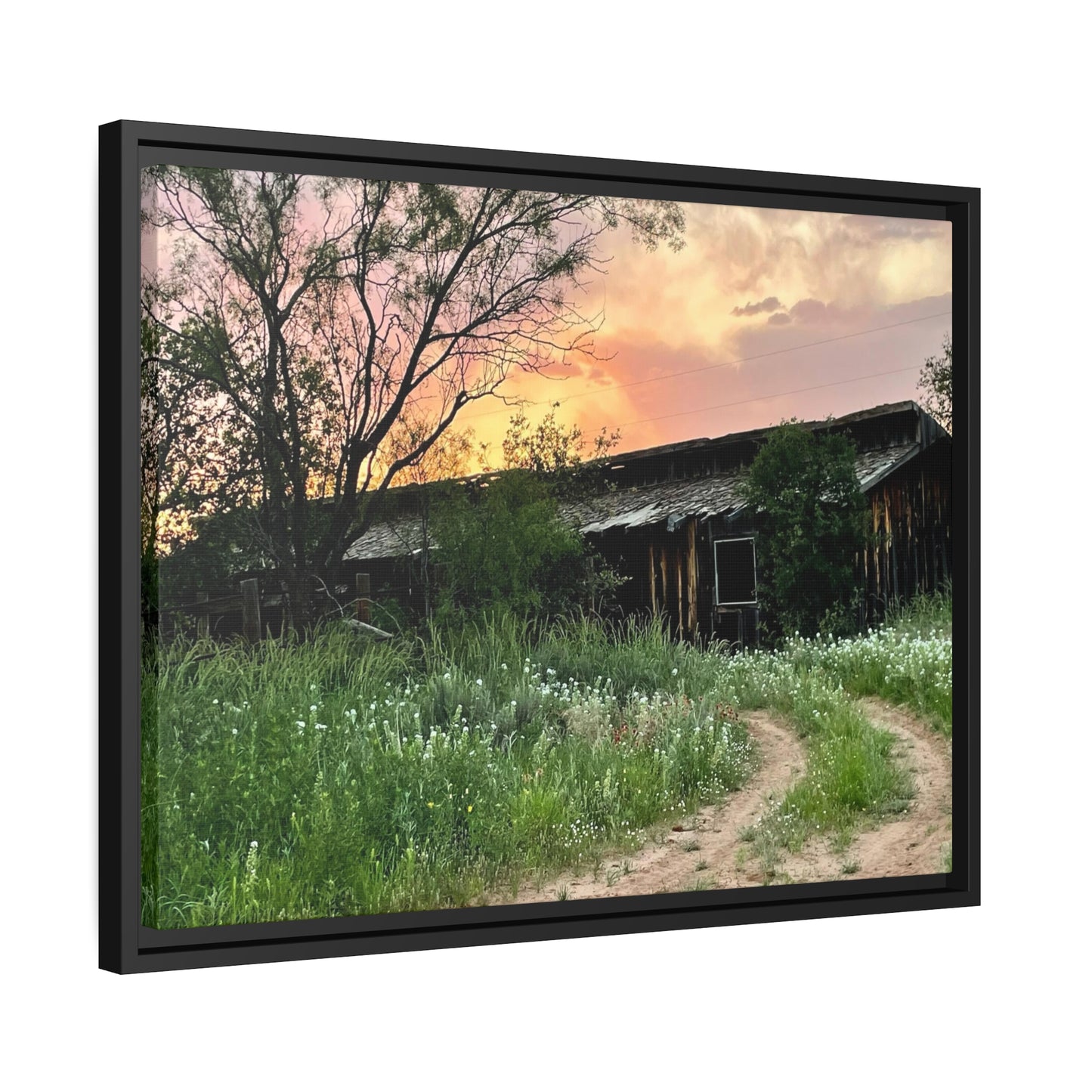 Stable, Matte Canvas, Black Frame
