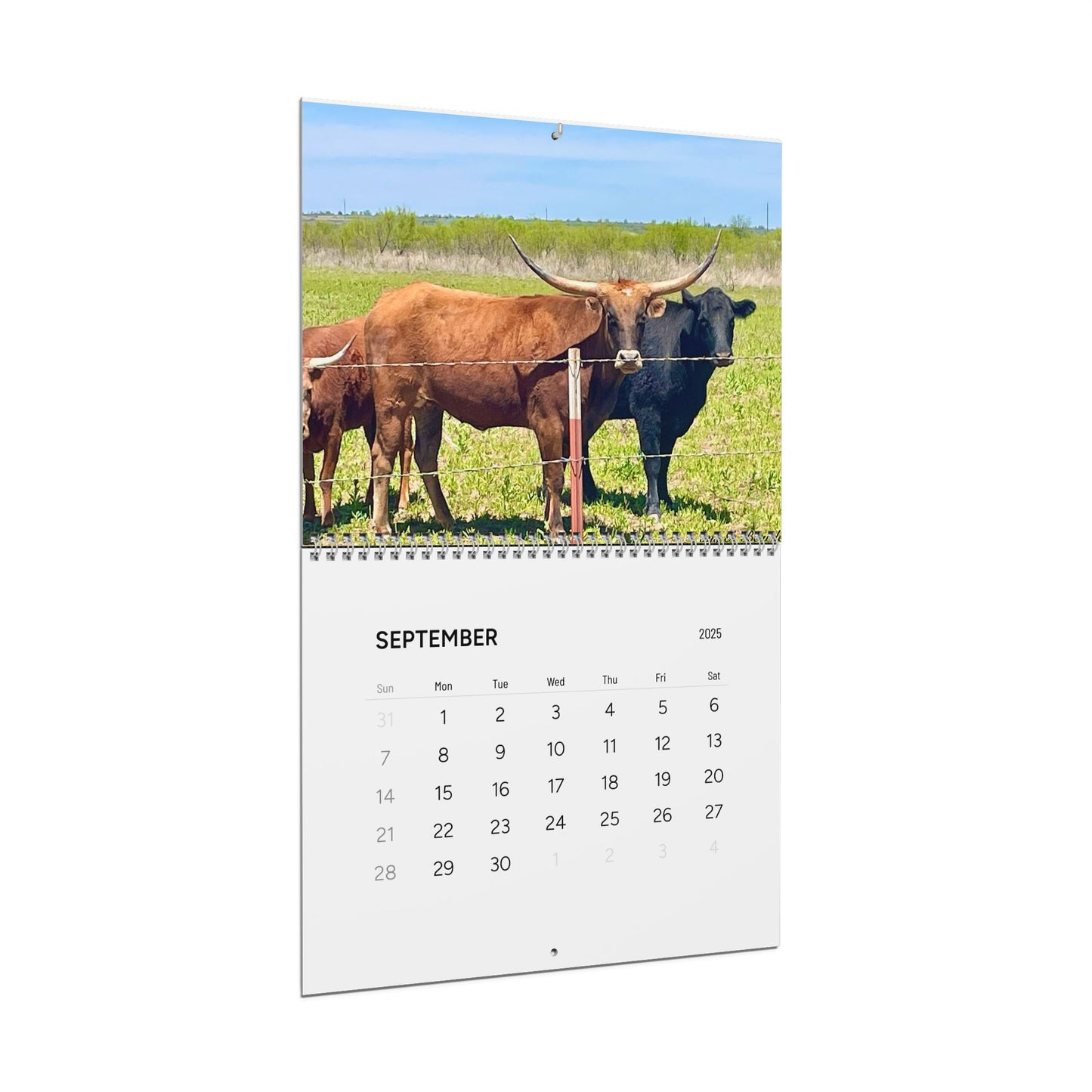 Backroads and Sunsets, Wall Calendars (2025)