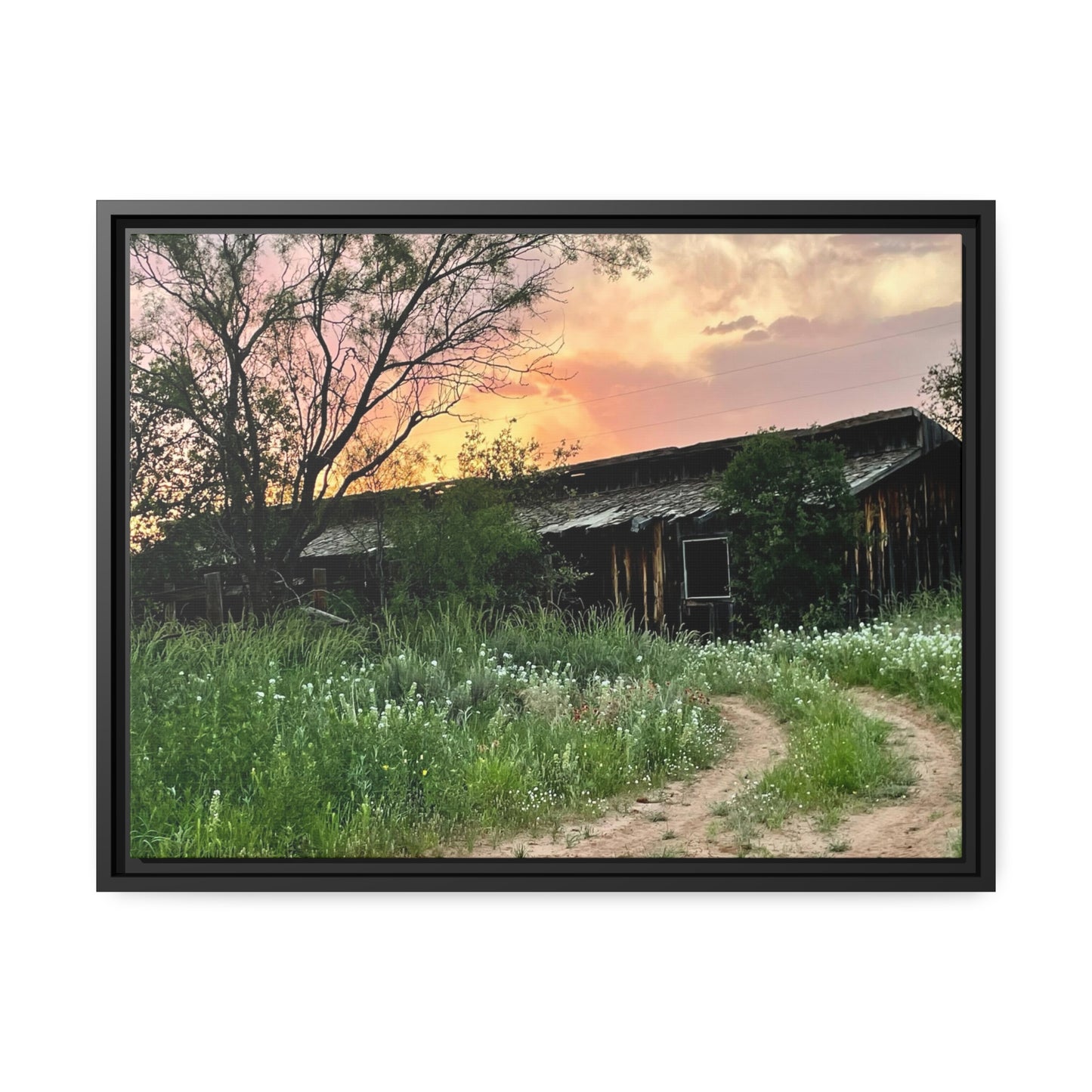 Stable, Matte Canvas, Black Frame