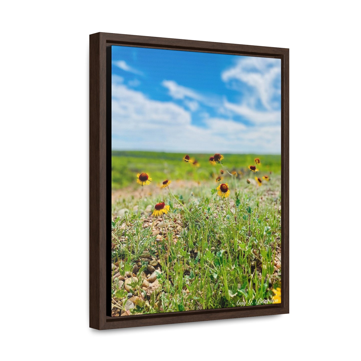 Wildflowers, Gallery Canvas Wraps, Vertical Frame
