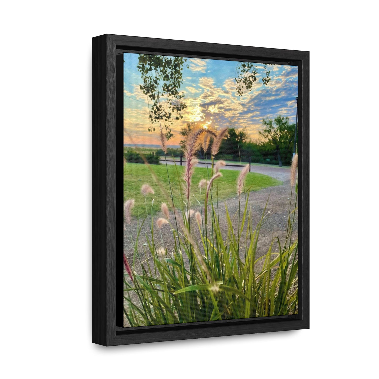 Feathergrass Sunrise, Gallery Canvas Wraps, Vertical Frame