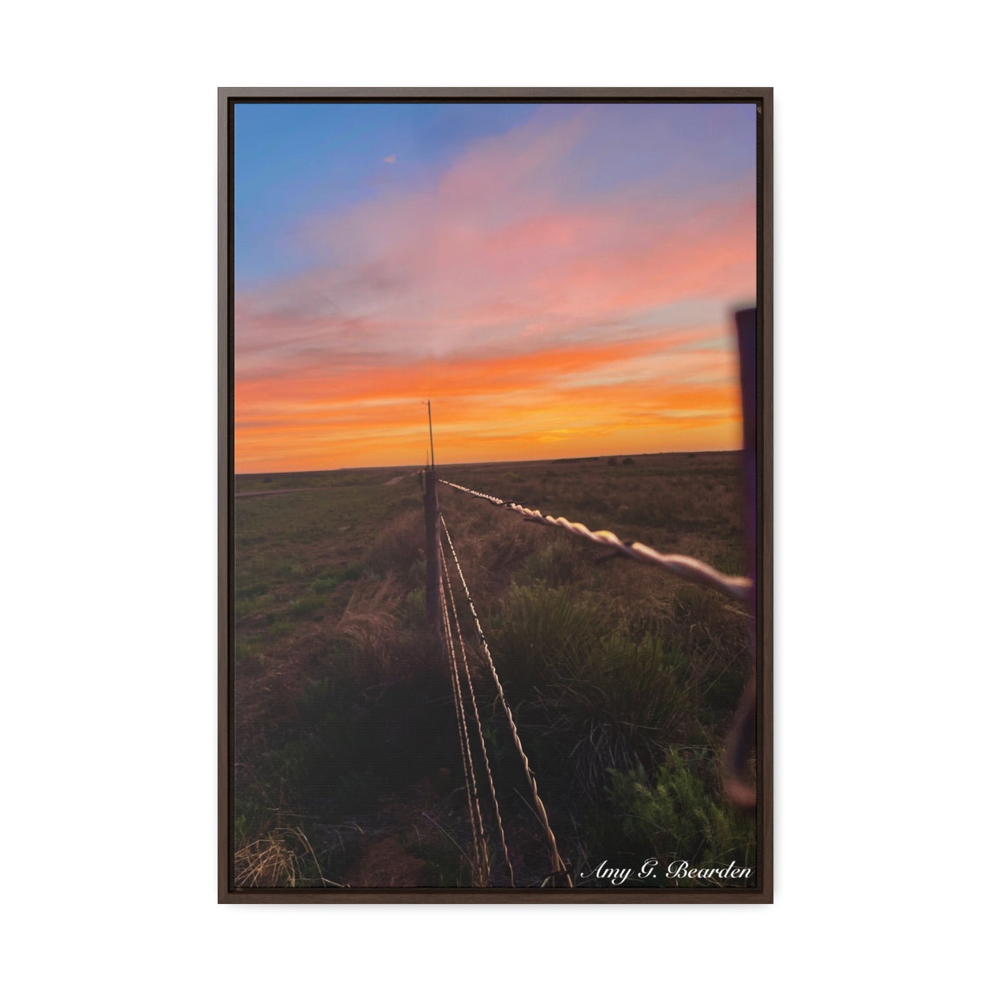 Barbed wire fence, Gallery Canvas Wraps, Vertical Frame