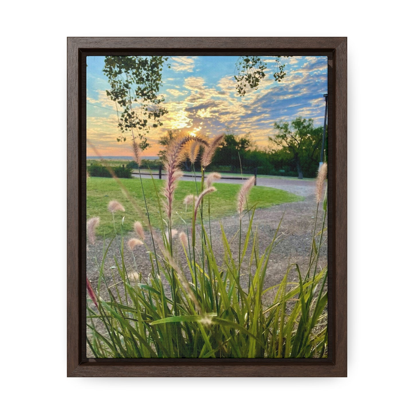 Feathergrass Sunrise, Gallery Canvas Wraps, Vertical Frame