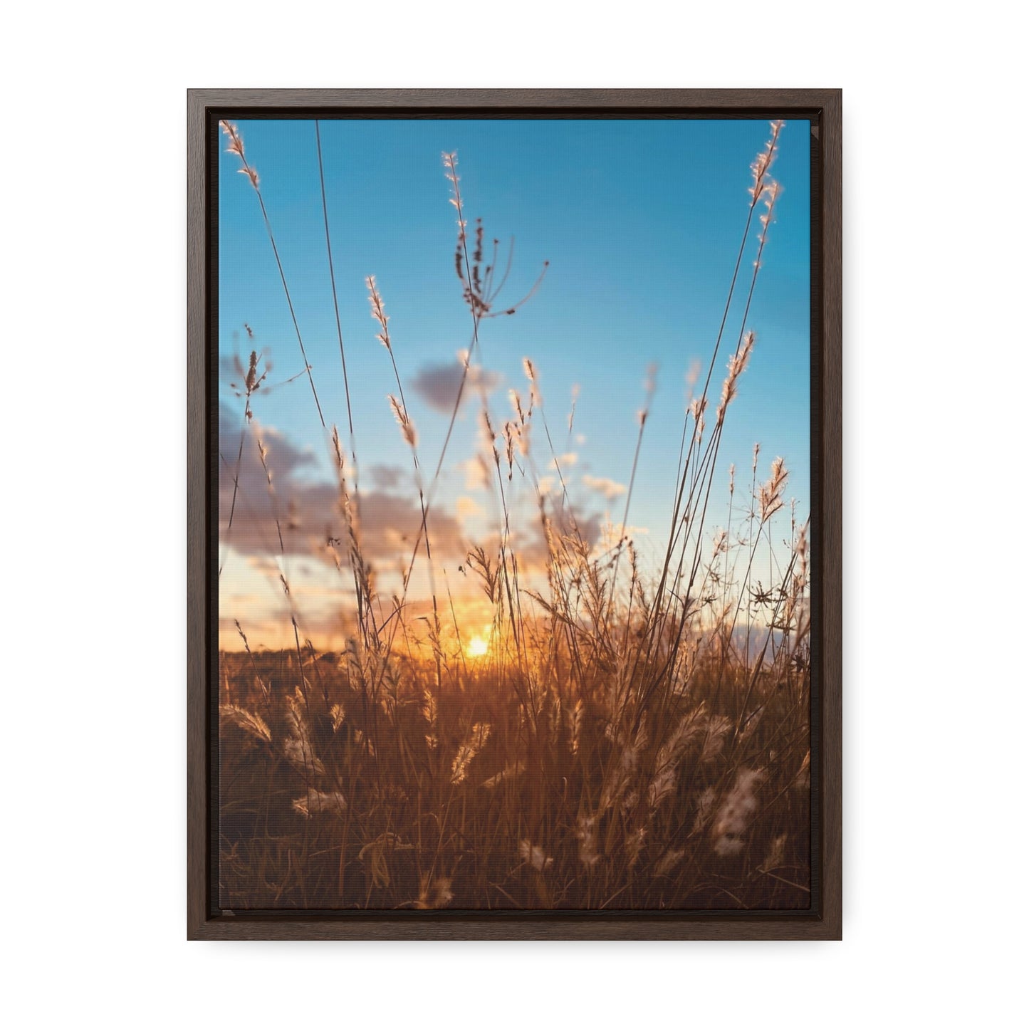 Wild grass and sunset, Gallery Canvas Wraps, Vertical Frame