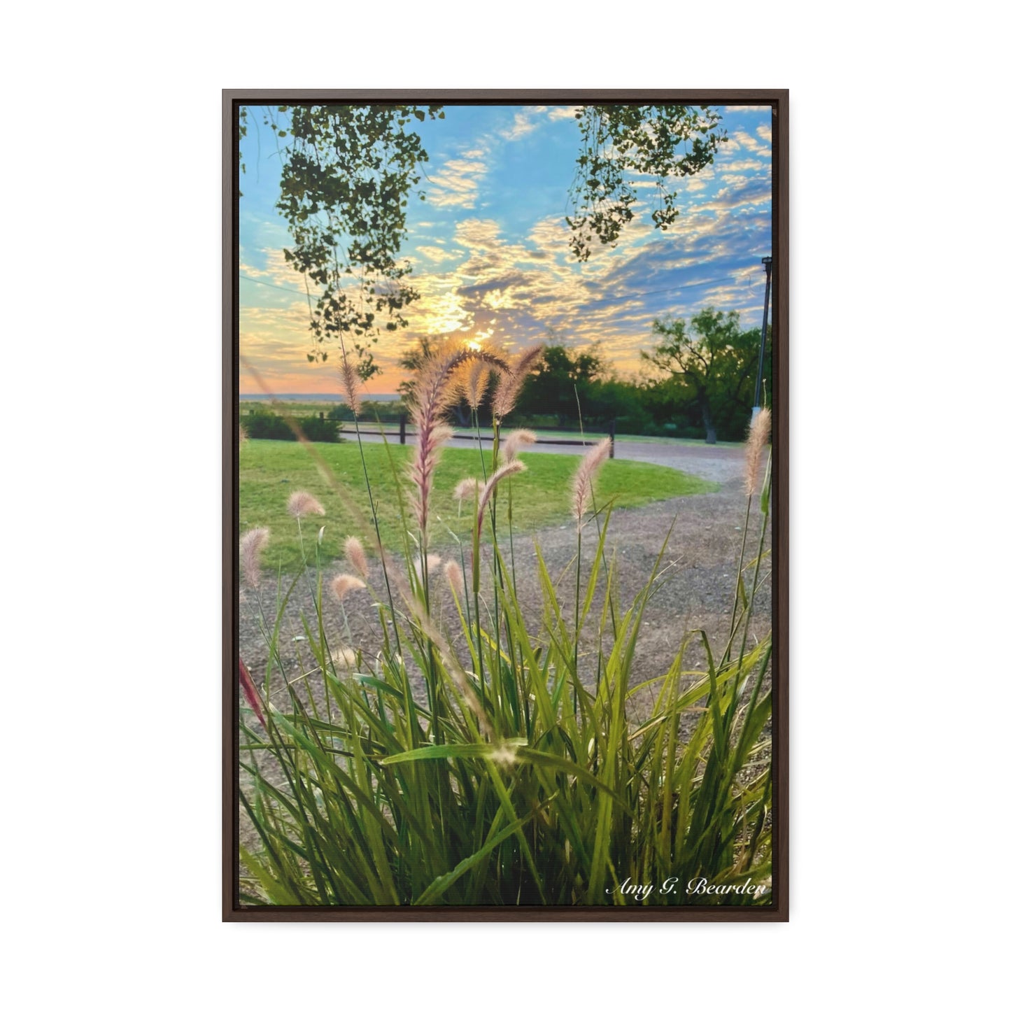 Feathergrass Sunrise, Gallery Canvas Wraps, Vertical Frame