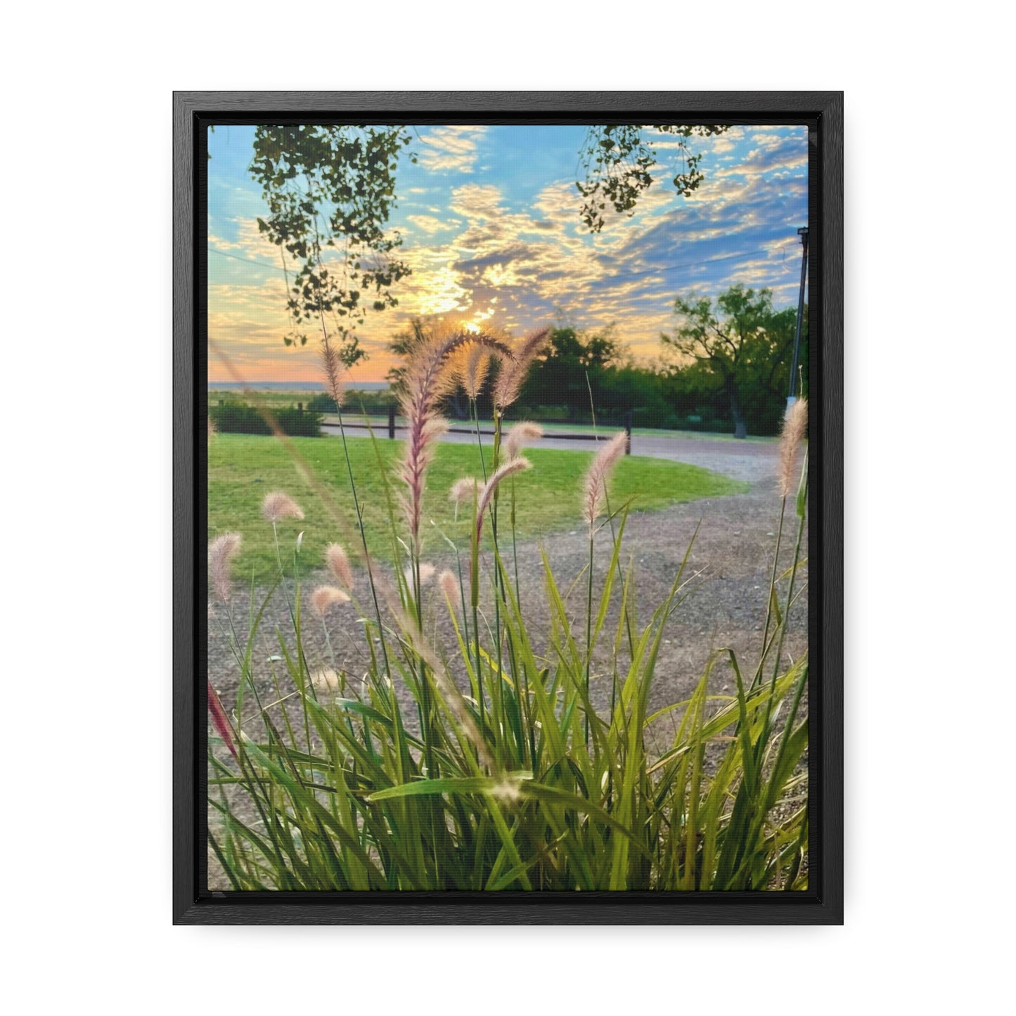 Feathergrass Sunrise, Gallery Canvas Wraps, Vertical Frame