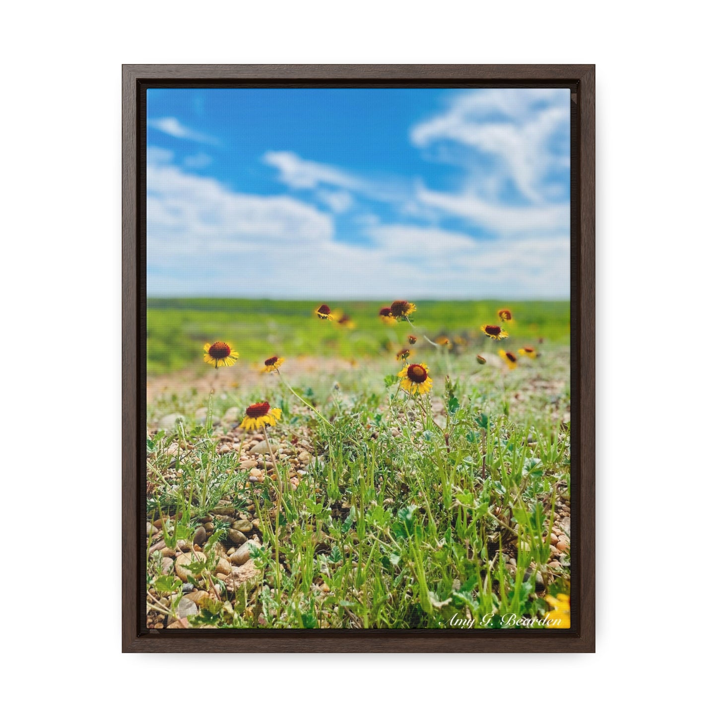 Wildflowers, Gallery Canvas Wraps, Vertical Frame