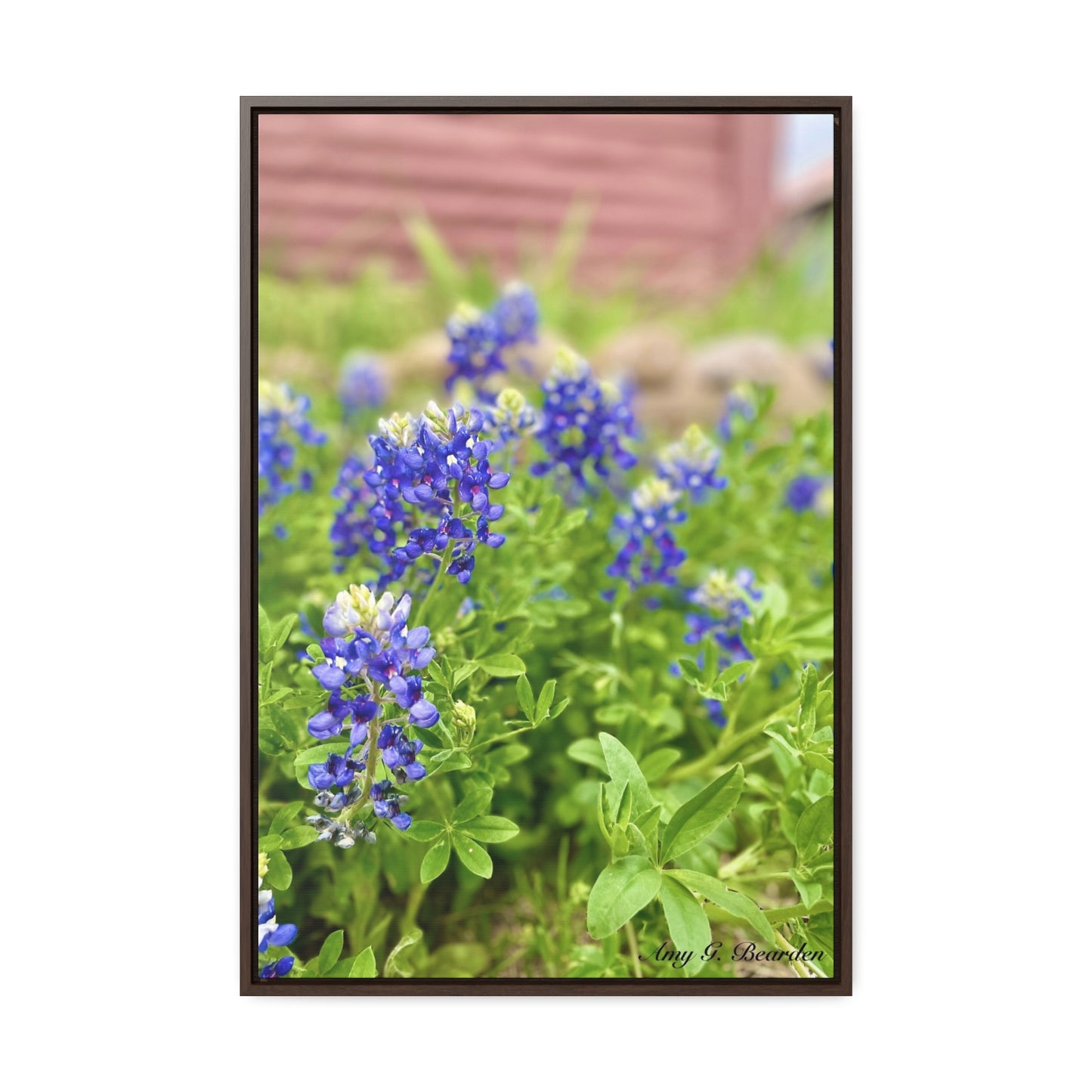 Bluebonnets, Gallery Canvas Wraps, Vertical Frame