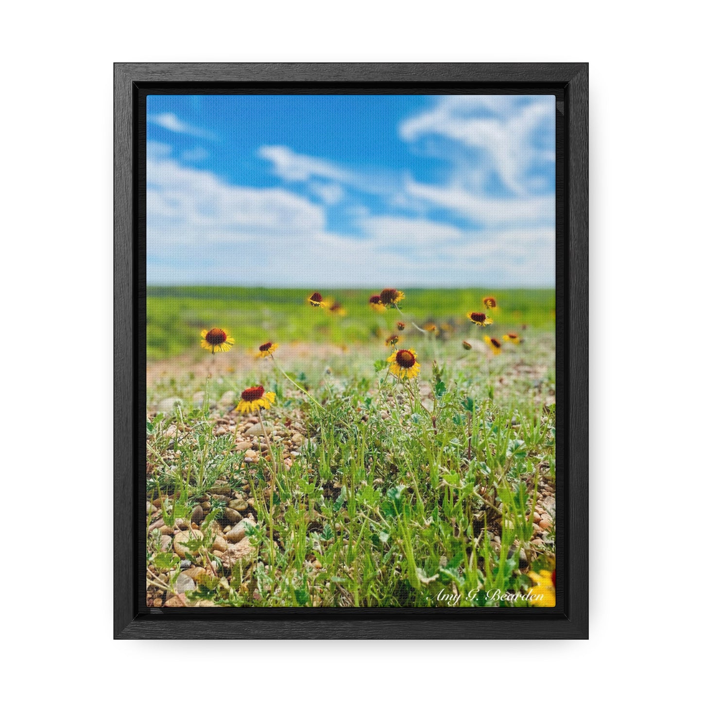 Wildflowers, Gallery Canvas Wraps, Vertical Frame