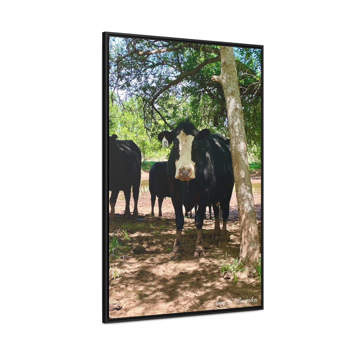 Wet Kisses, Gallery Canvas Wraps, Vertical Frame
