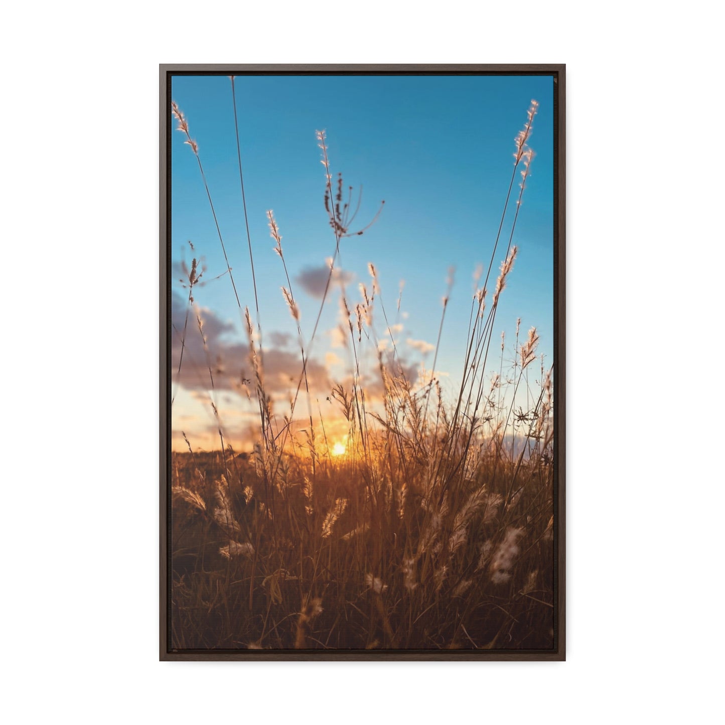 Wild grass and sunset, Gallery Canvas Wraps, Vertical Frame