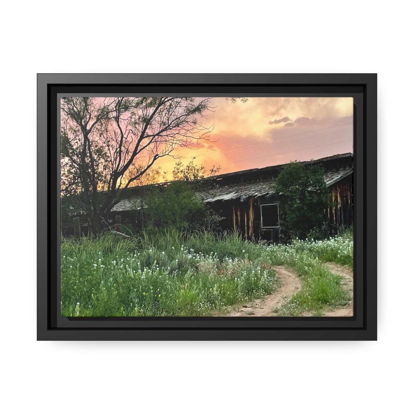 Stable, Matte Canvas, Black Frame