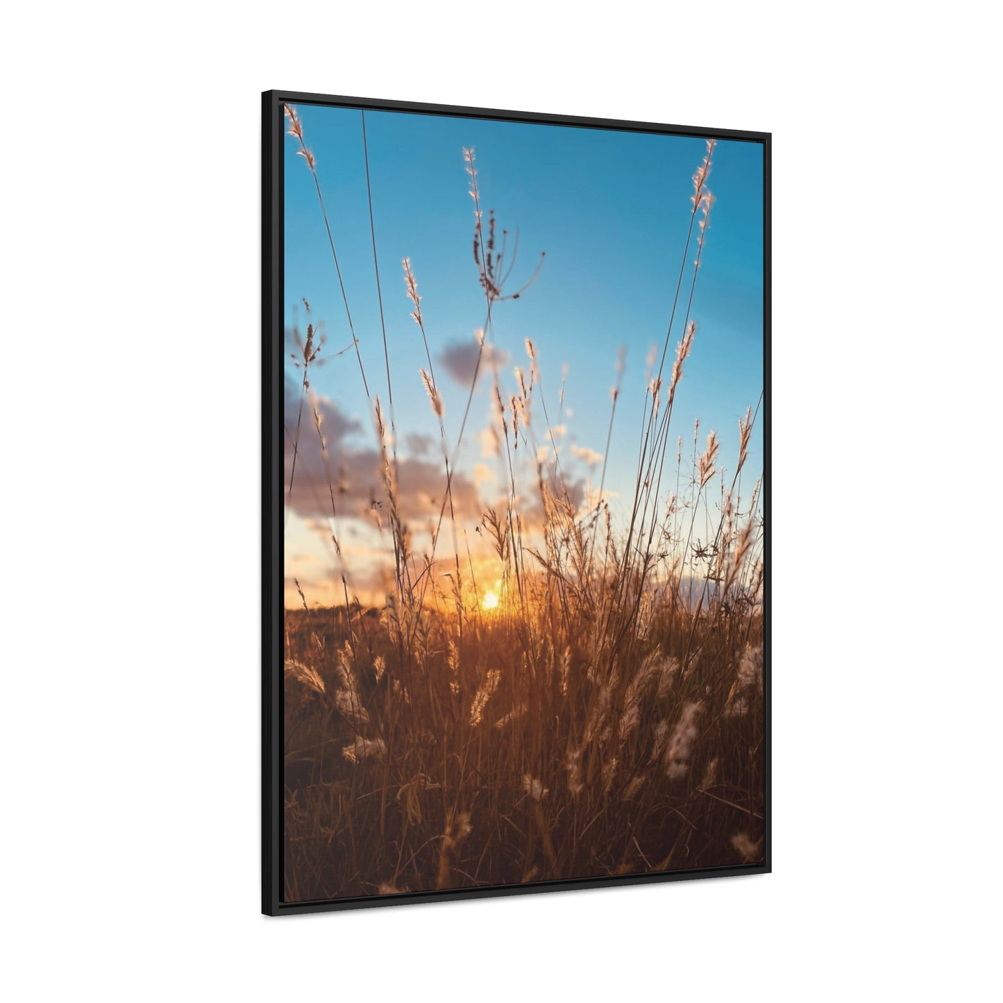 Wild grass and sunset, Gallery Canvas Wraps, Vertical Frame