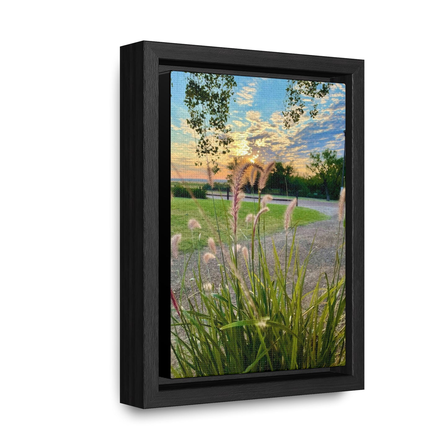 Feathergrass Sunrise, Gallery Canvas Wraps, Vertical Frame