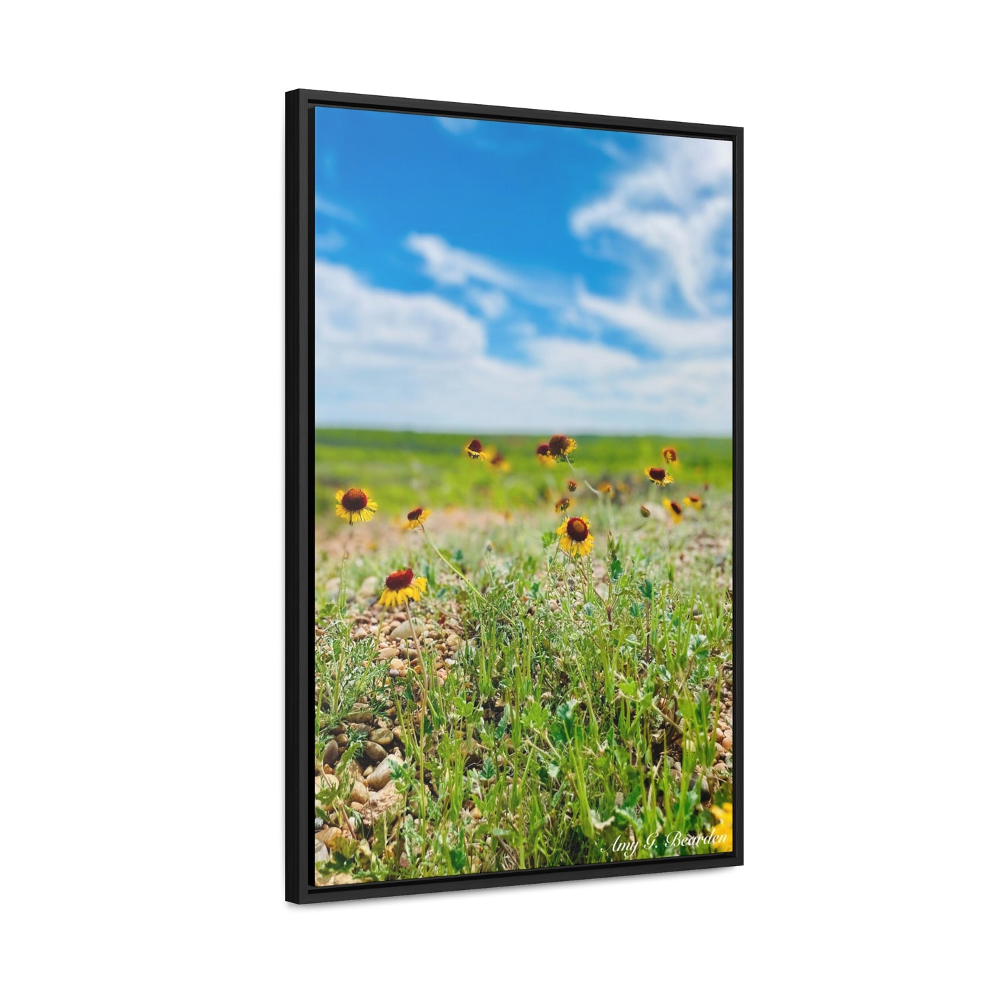 Wildflowers, Gallery Canvas Wraps, Vertical Frame