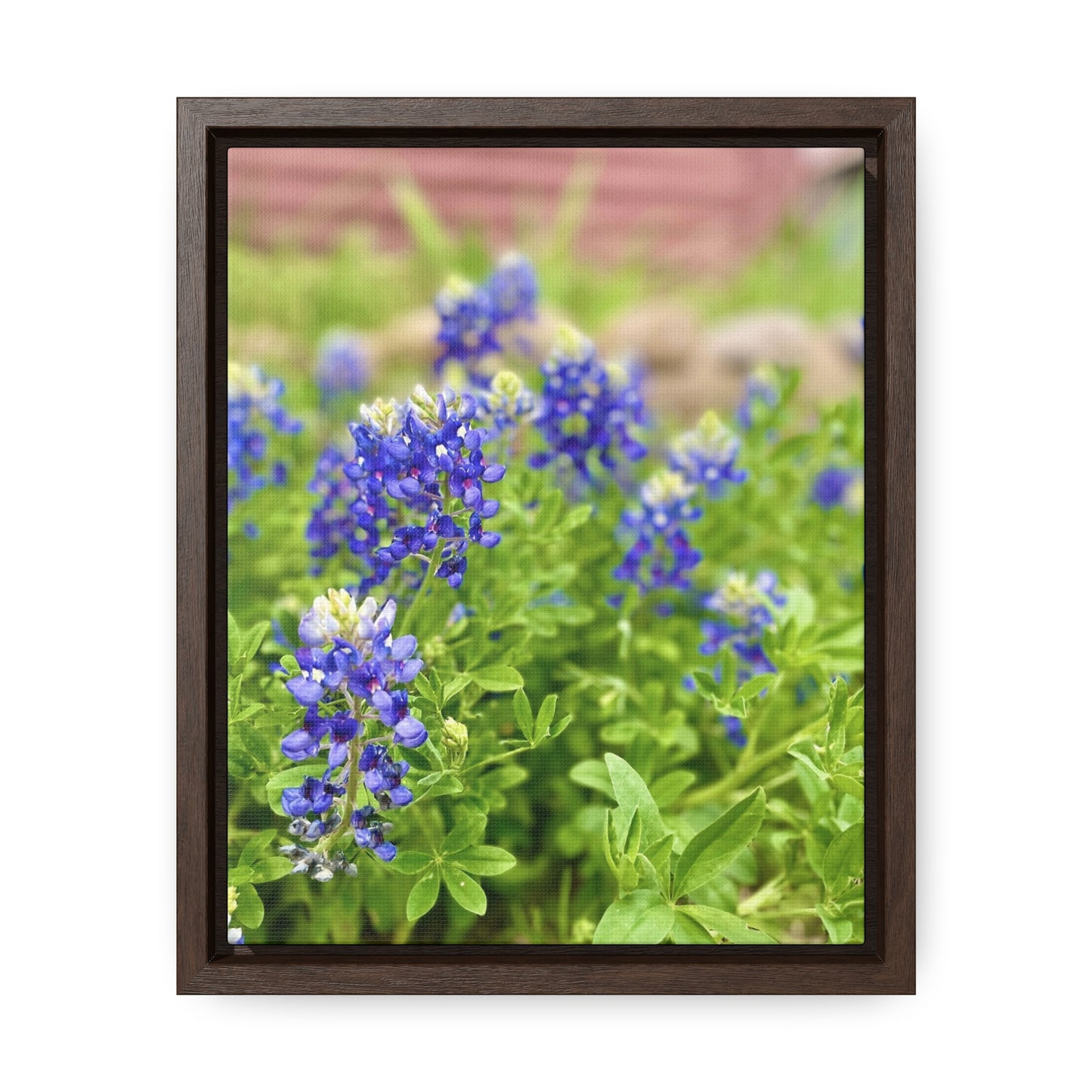 Bluebonnets, Gallery Canvas Wraps, Vertical Frame