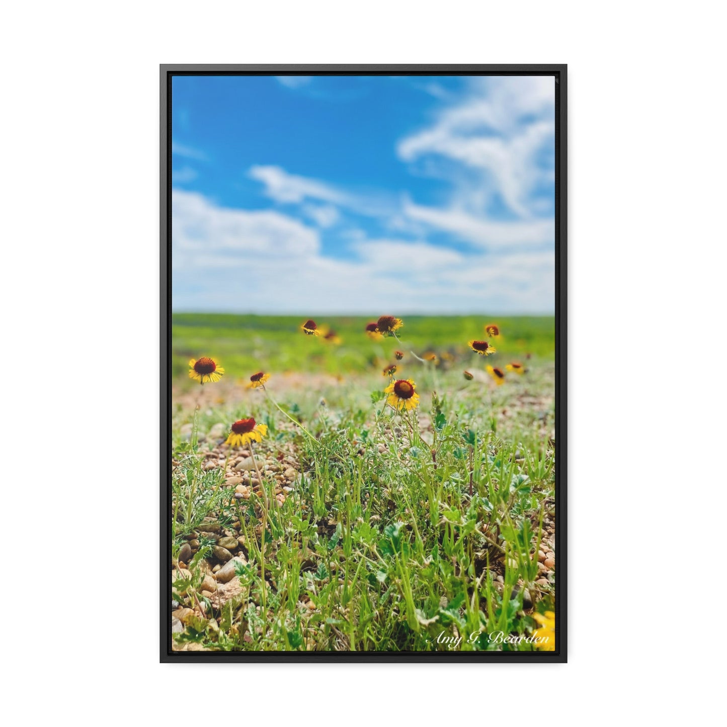Wildflowers, Gallery Canvas Wraps, Vertical Frame