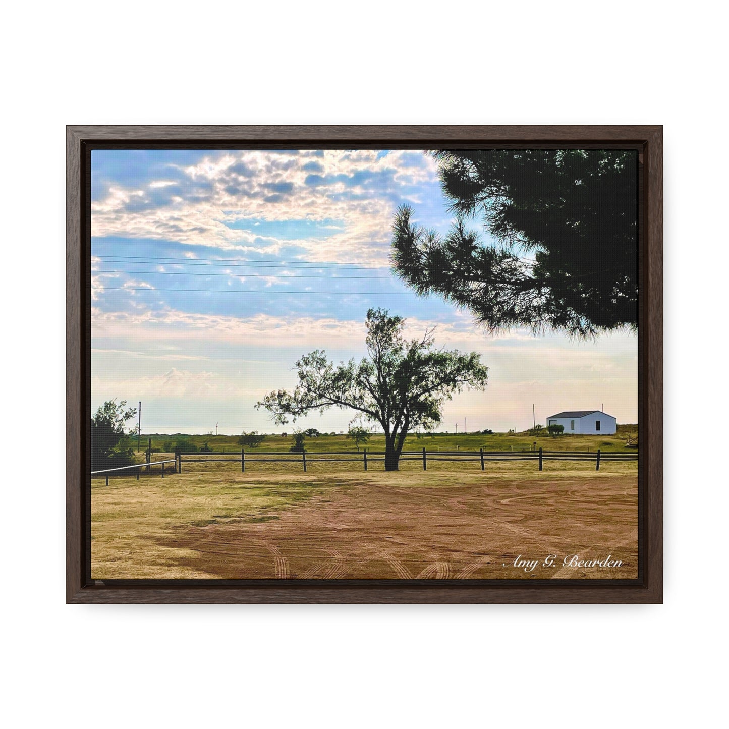 Morning light on the Chula Vista, Gallery Canvas Wraps, Horizontal Frame