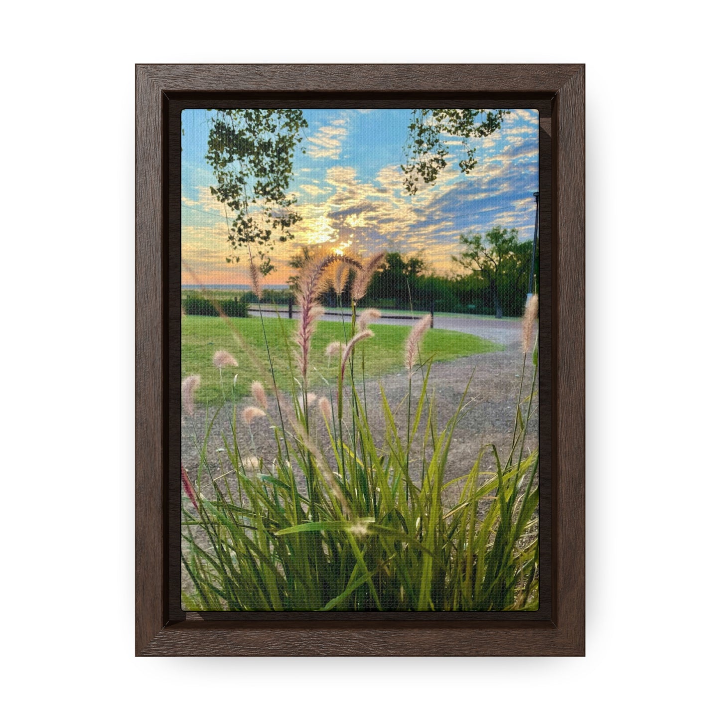 Feathergrass Sunrise, Gallery Canvas Wraps, Vertical Frame