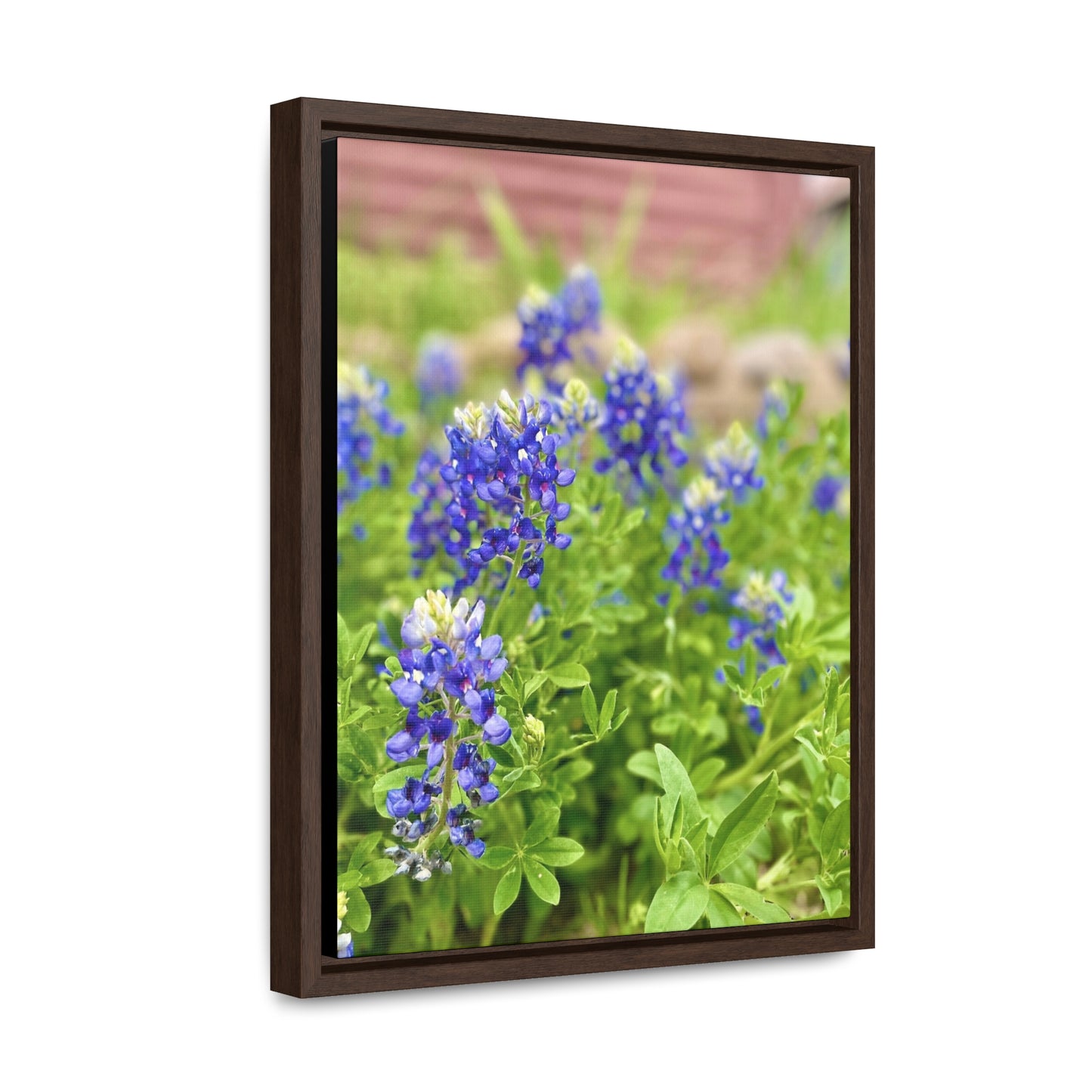 Bluebonnets, Gallery Canvas Wraps, Vertical Frame