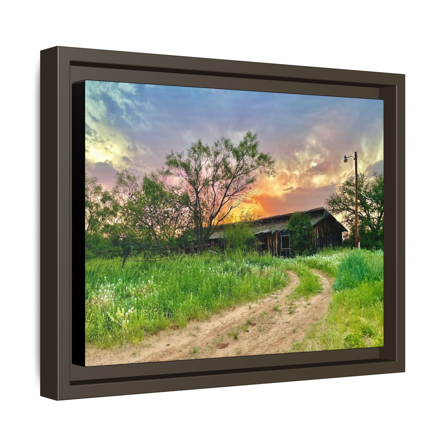 Horse stable, vibrant canvas