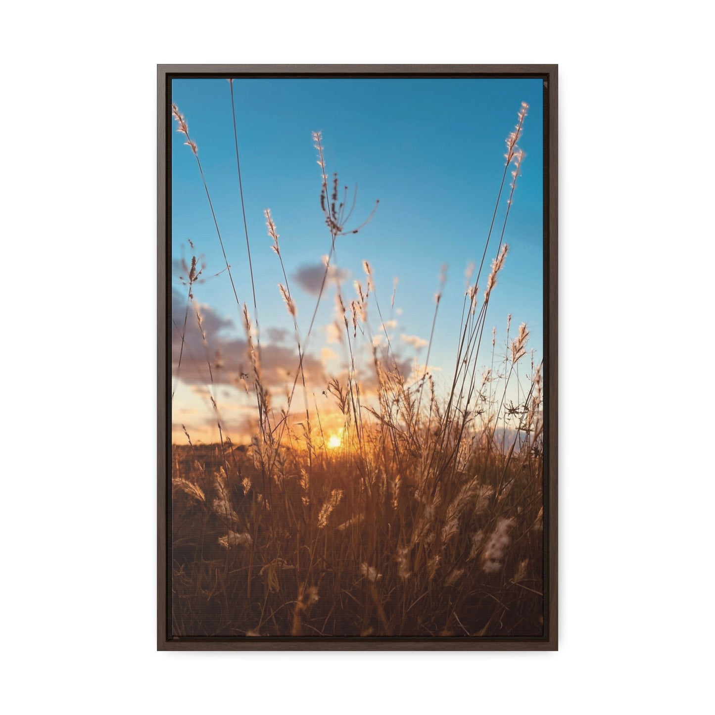 Wild grass and sunset, Gallery Canvas Wraps, Vertical Frame