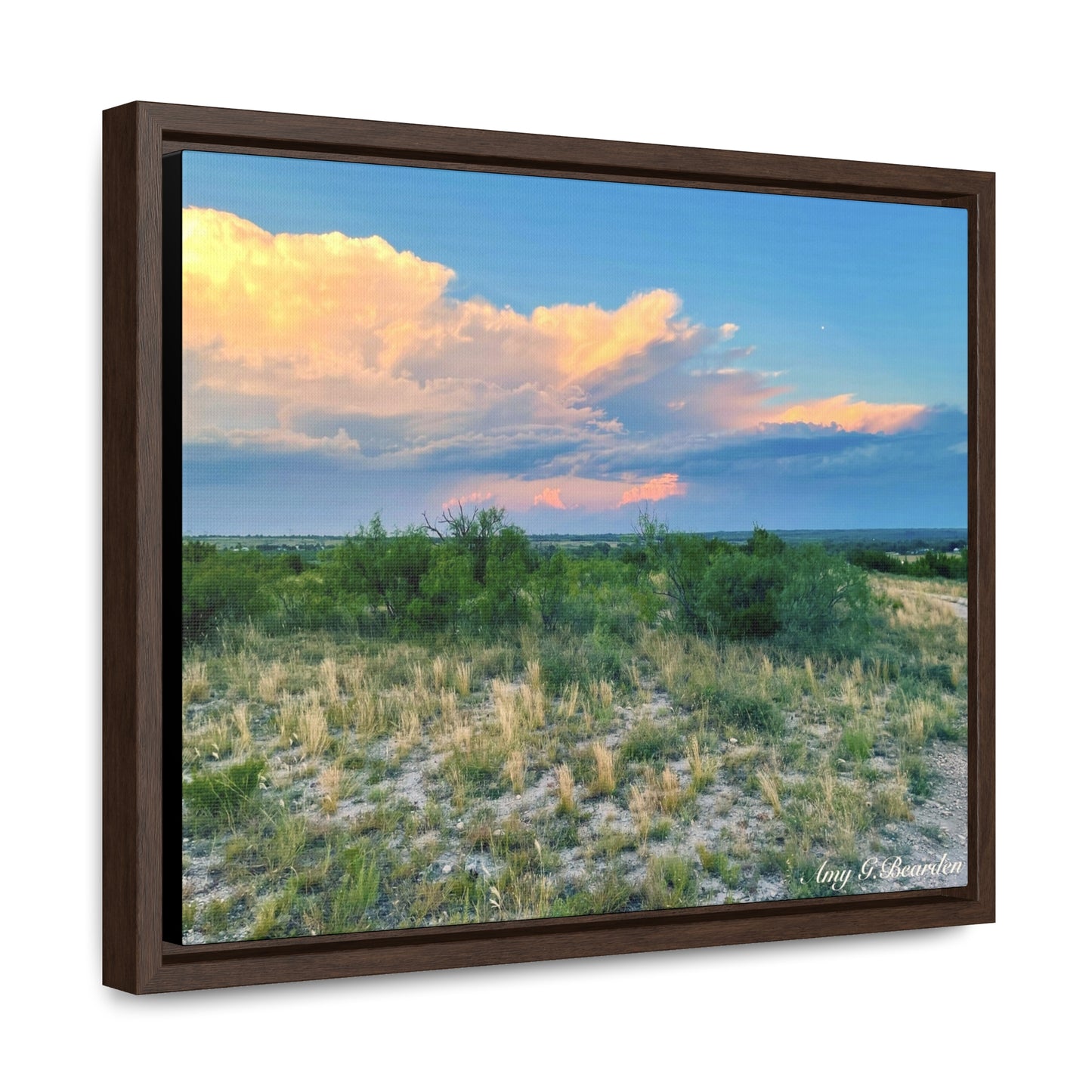 Gallery Canvas Wraps, Horizontal Frame