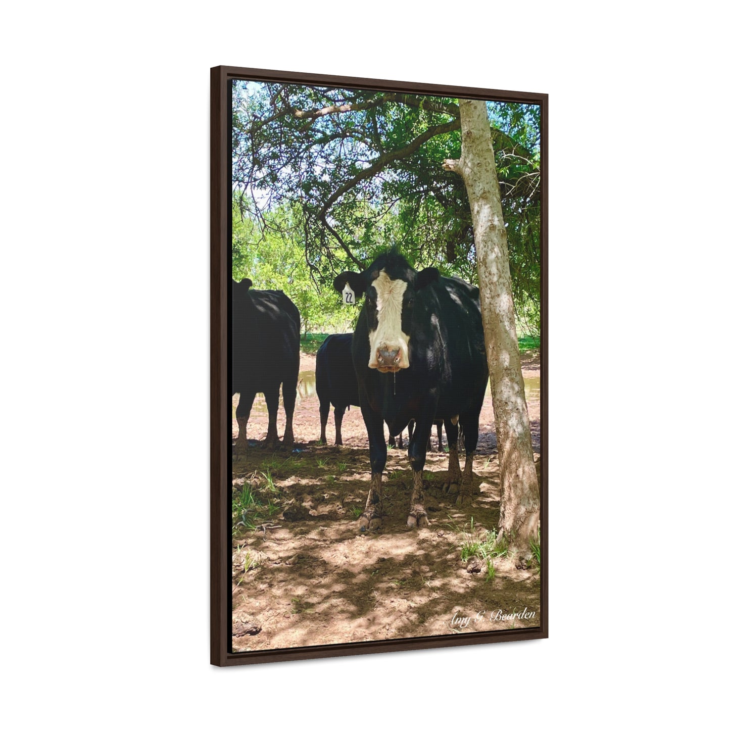 Wet Kisses, Gallery Canvas Wraps, Vertical Frame