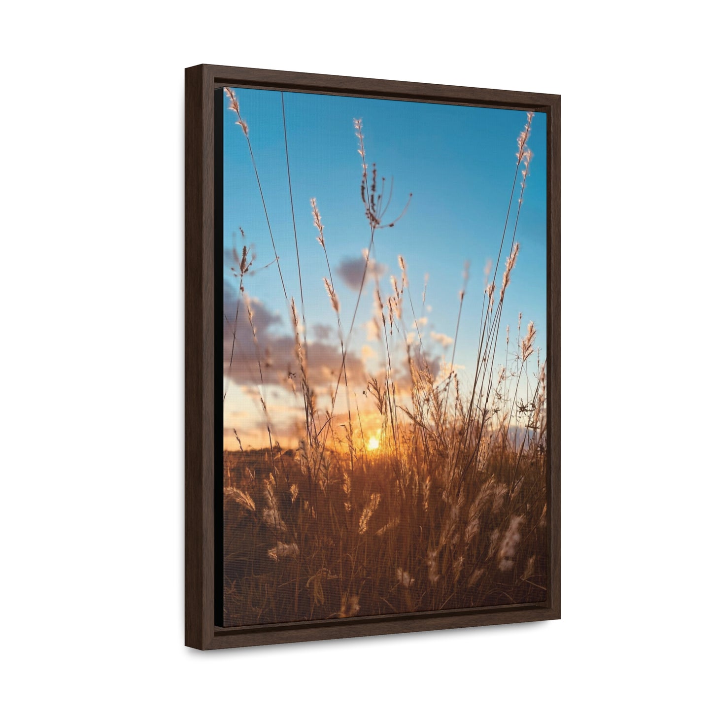Wild grass and sunset, Gallery Canvas Wraps, Vertical Frame