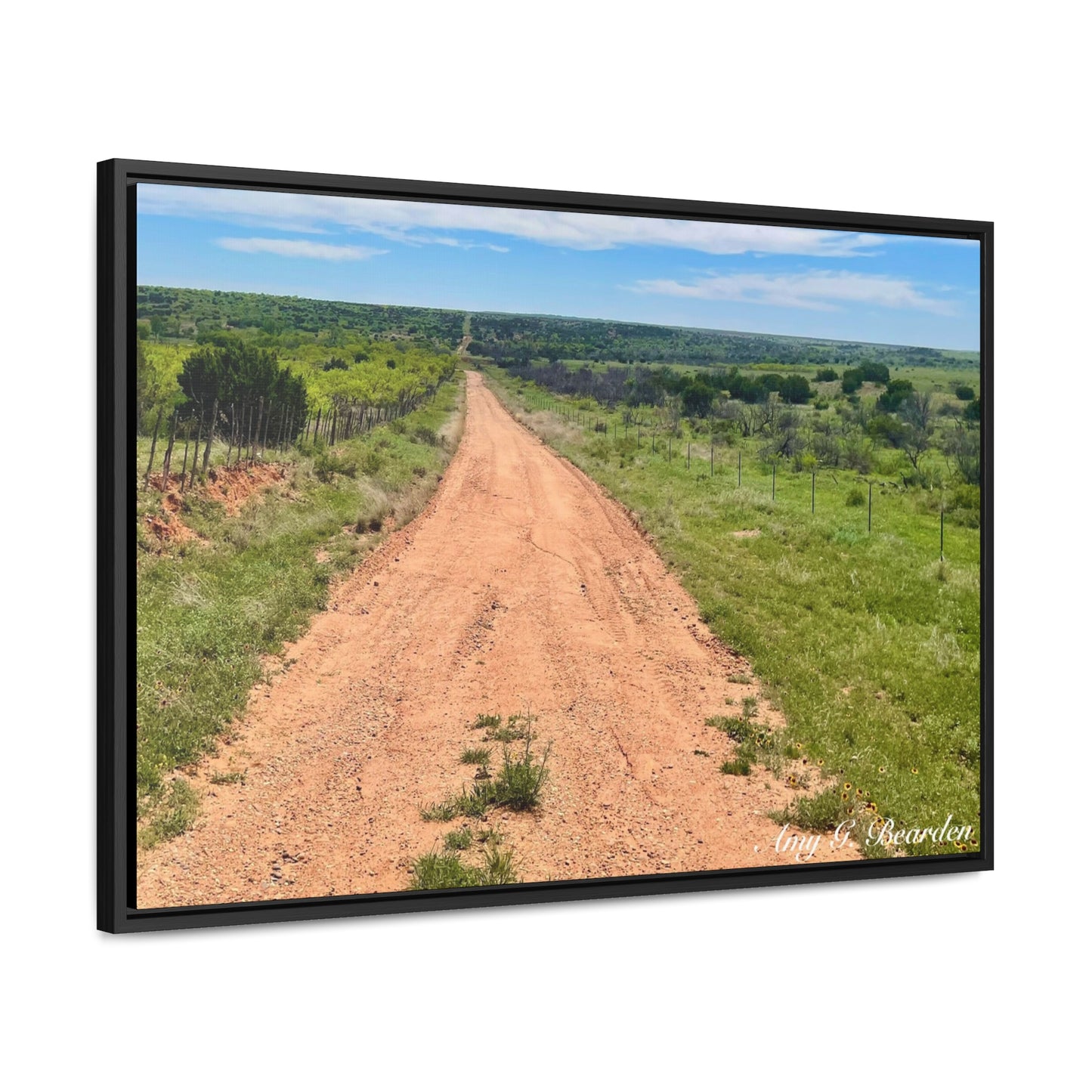 Red Dirt Road, Gallery Canvas Wraps, Horizontal Frame