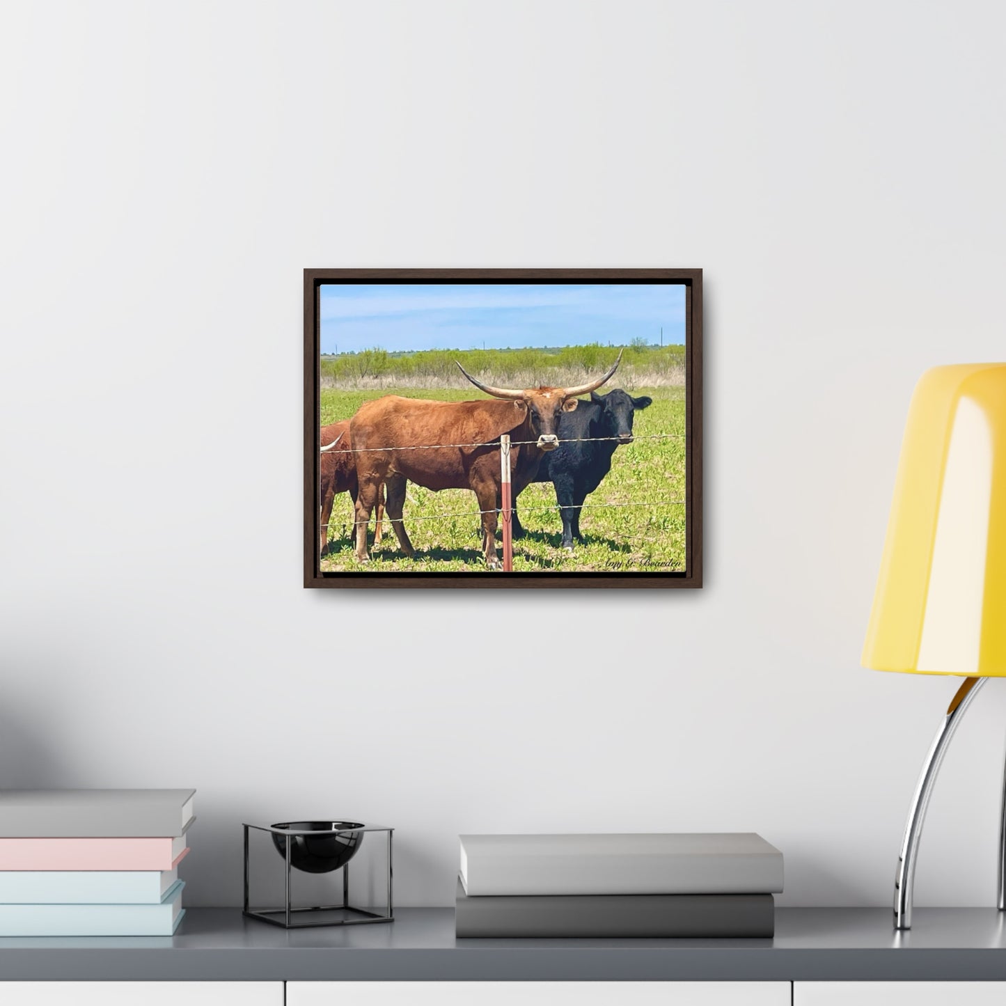 The stare down, Longhorn of Texas, Gallery Canvas Wraps, Horizontal Frame