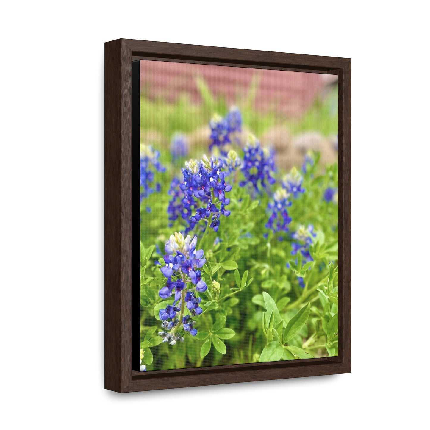 Bluebonnets, Gallery Canvas Wraps, Vertical Frame