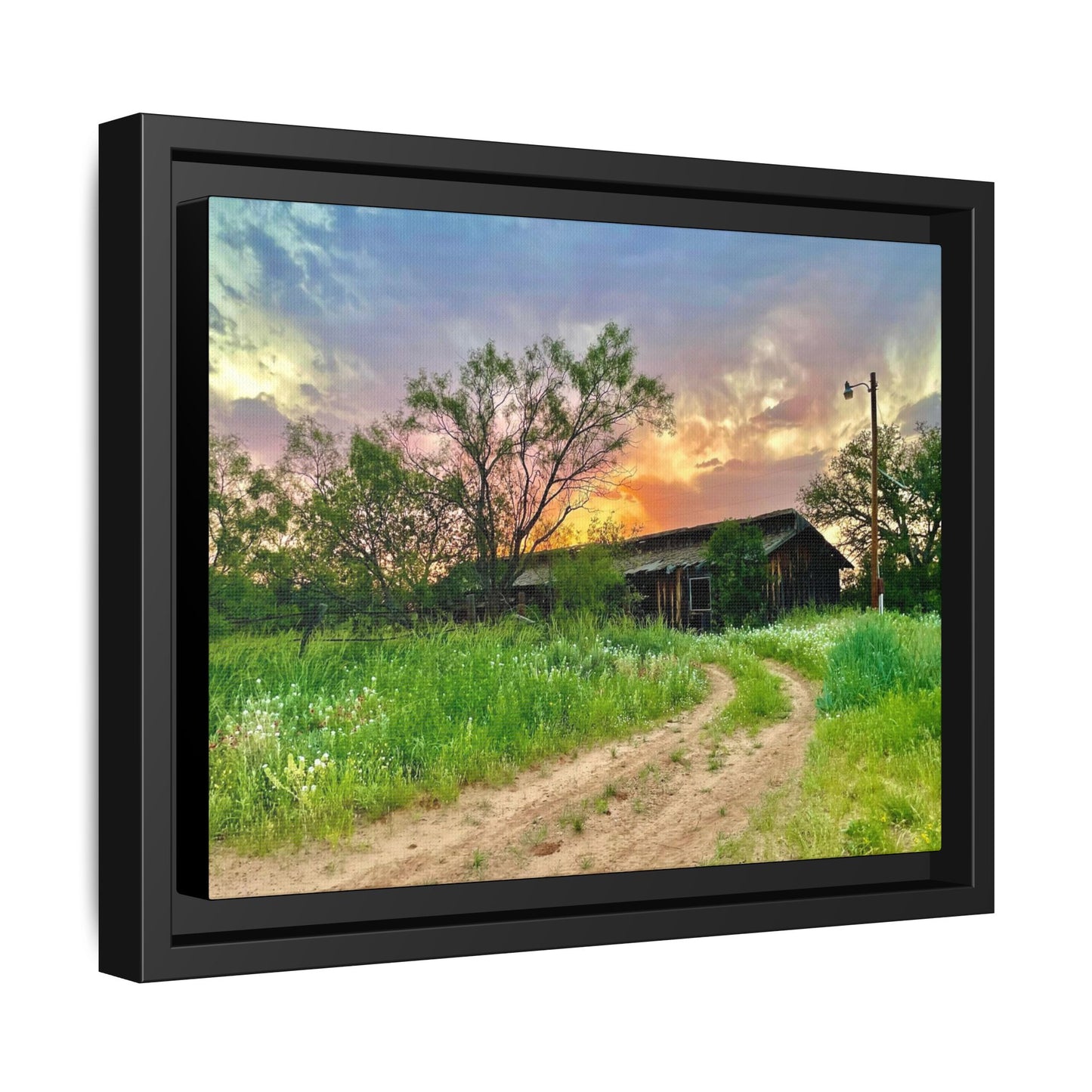 Horse stable, vibrant canvas