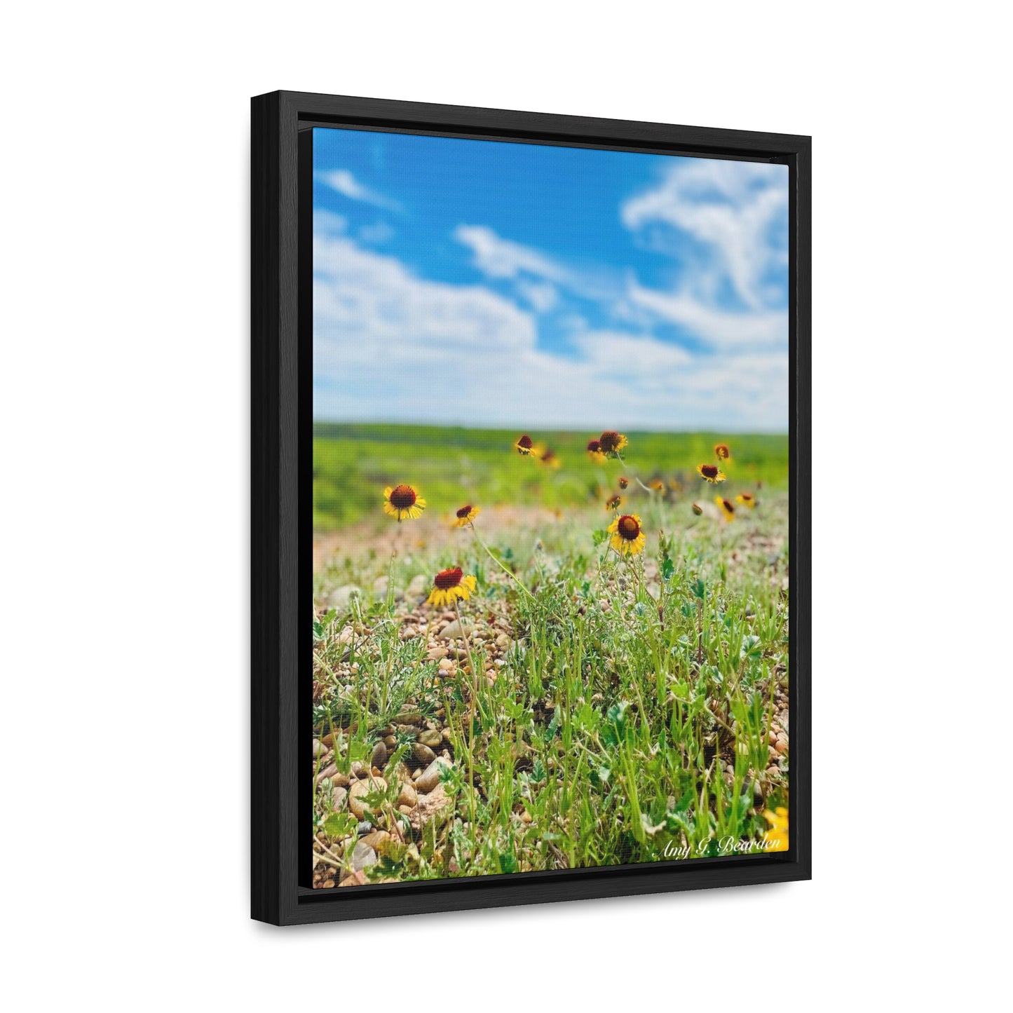 Wildflowers, Gallery Canvas Wraps, Vertical Frame