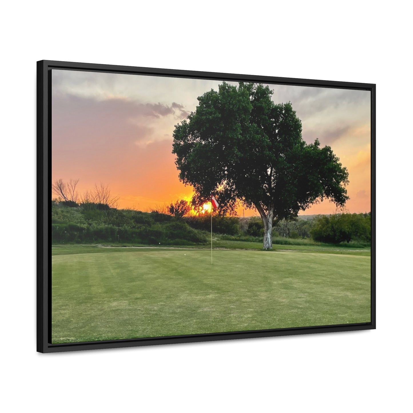 Gallery Canvas Wraps, Horizontal Frame