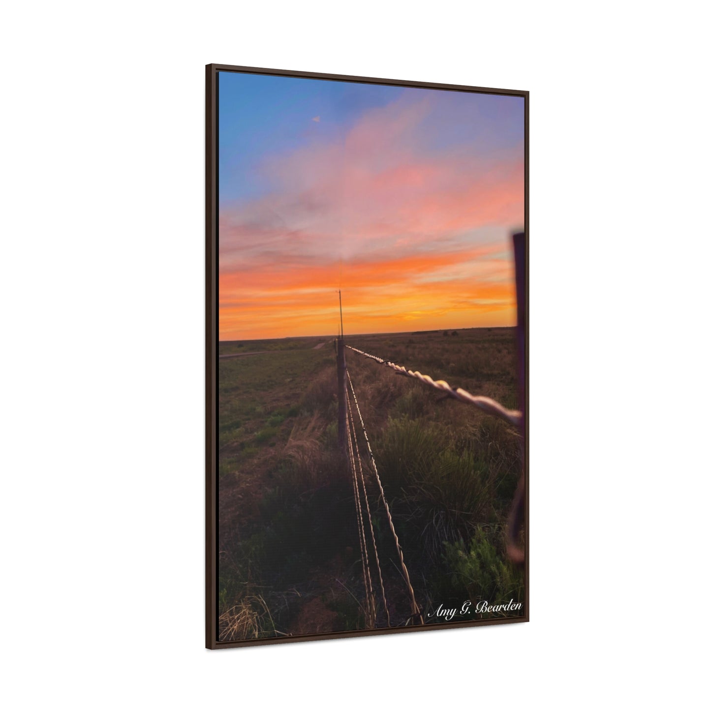 Barbed wire fence, Gallery Canvas Wraps, Vertical Frame