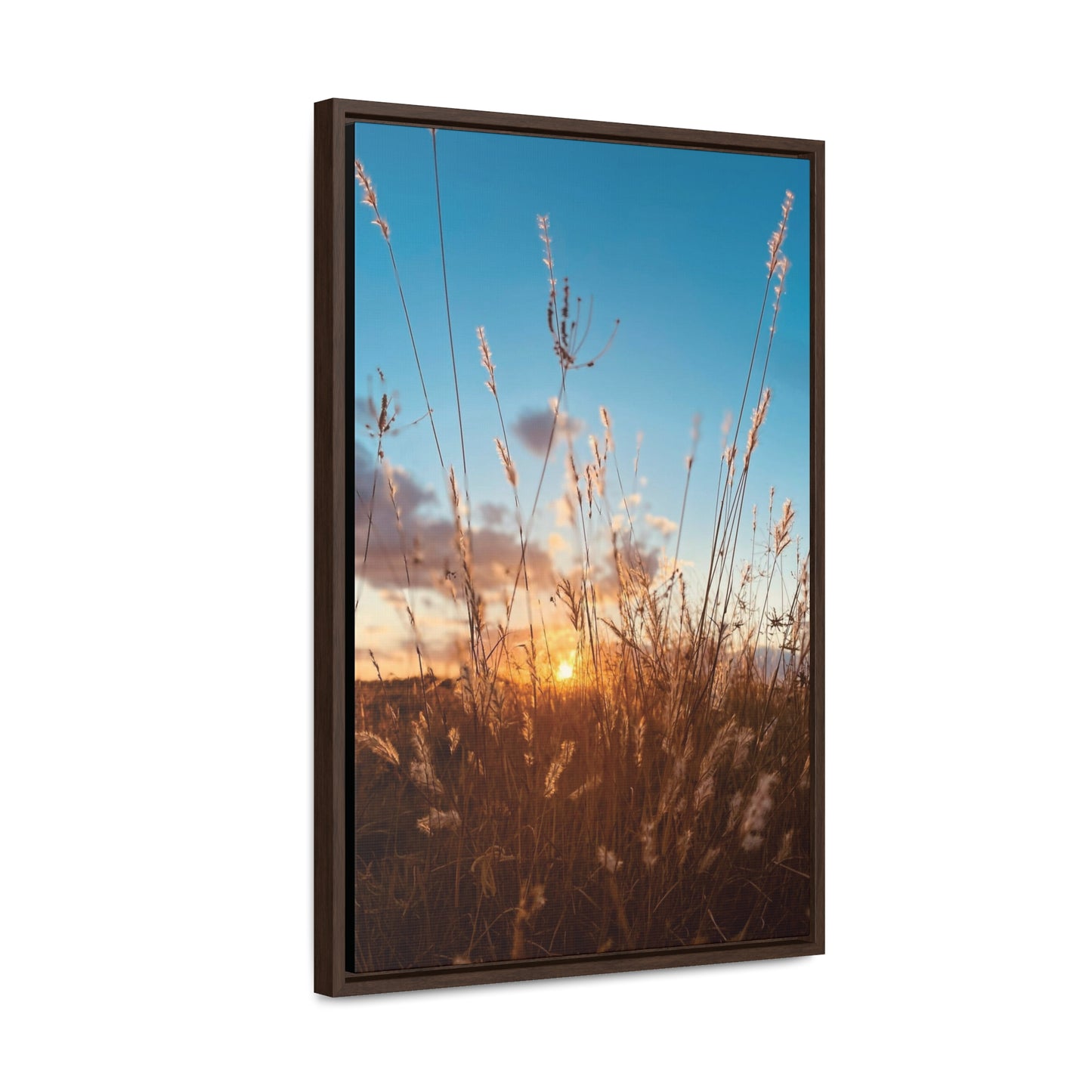 Wild grass and sunset, Gallery Canvas Wraps, Vertical Frame