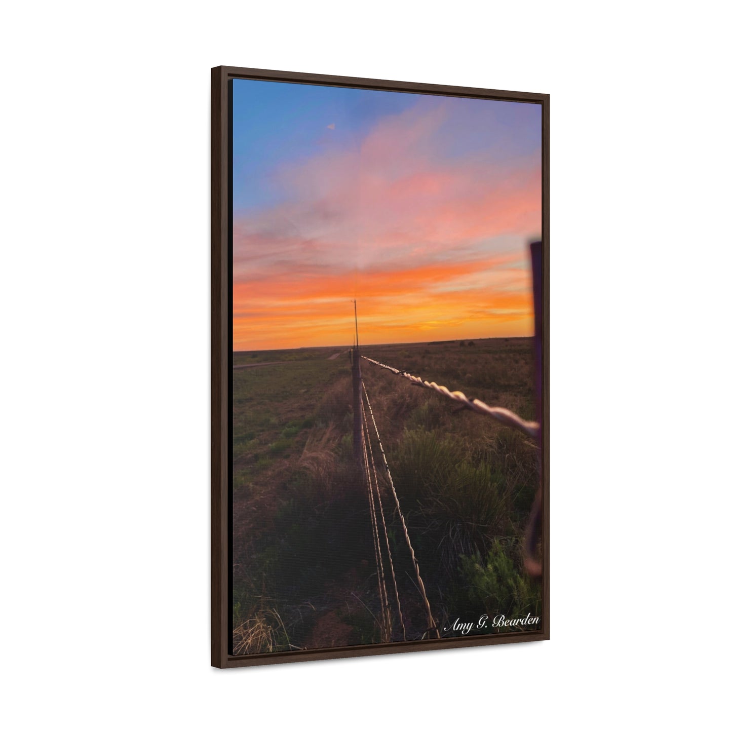 Barbed wire fence, Gallery Canvas Wraps, Vertical Frame