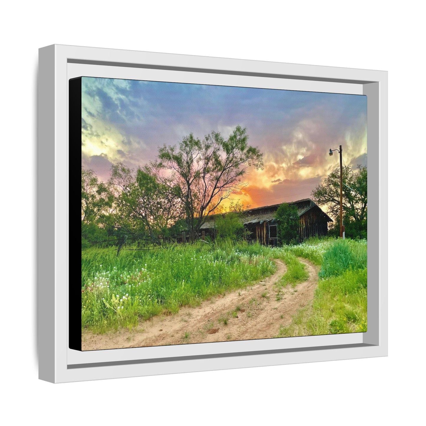 Horse stable, vibrant canvas