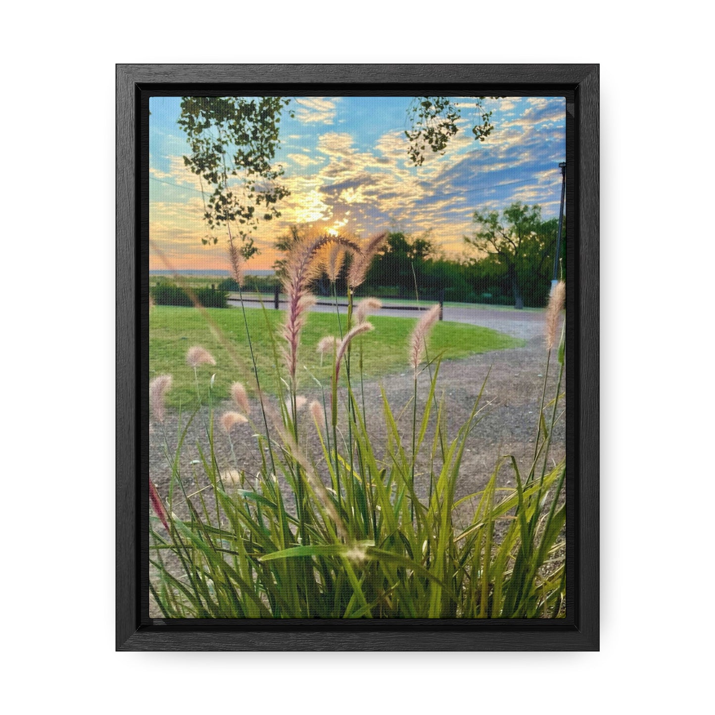 Feathergrass Sunrise, Gallery Canvas Wraps, Vertical Frame